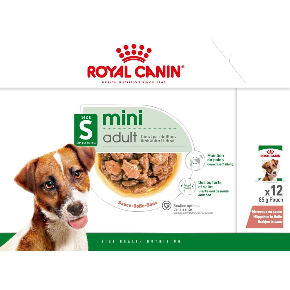 Pies patrzy na miskę z karmą. Widoczne jest logo Royal Canin.