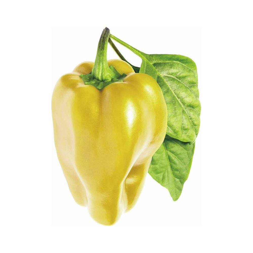 Un poivron jaune avec deux feuilles vertes pend d'une tige.