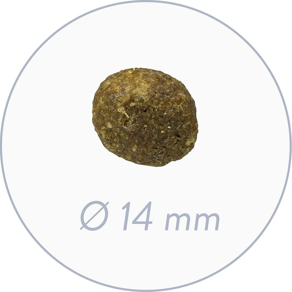 Pojedyncza, okrągła, brązowa karma o średnicy 14 mm.