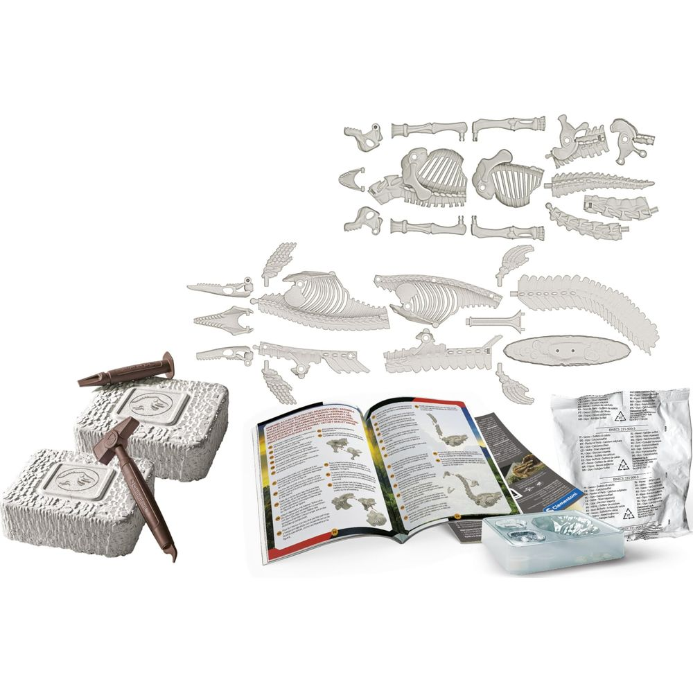Kit per costruire uno scheletro di dinosauro con attrezzi e istruzioni.