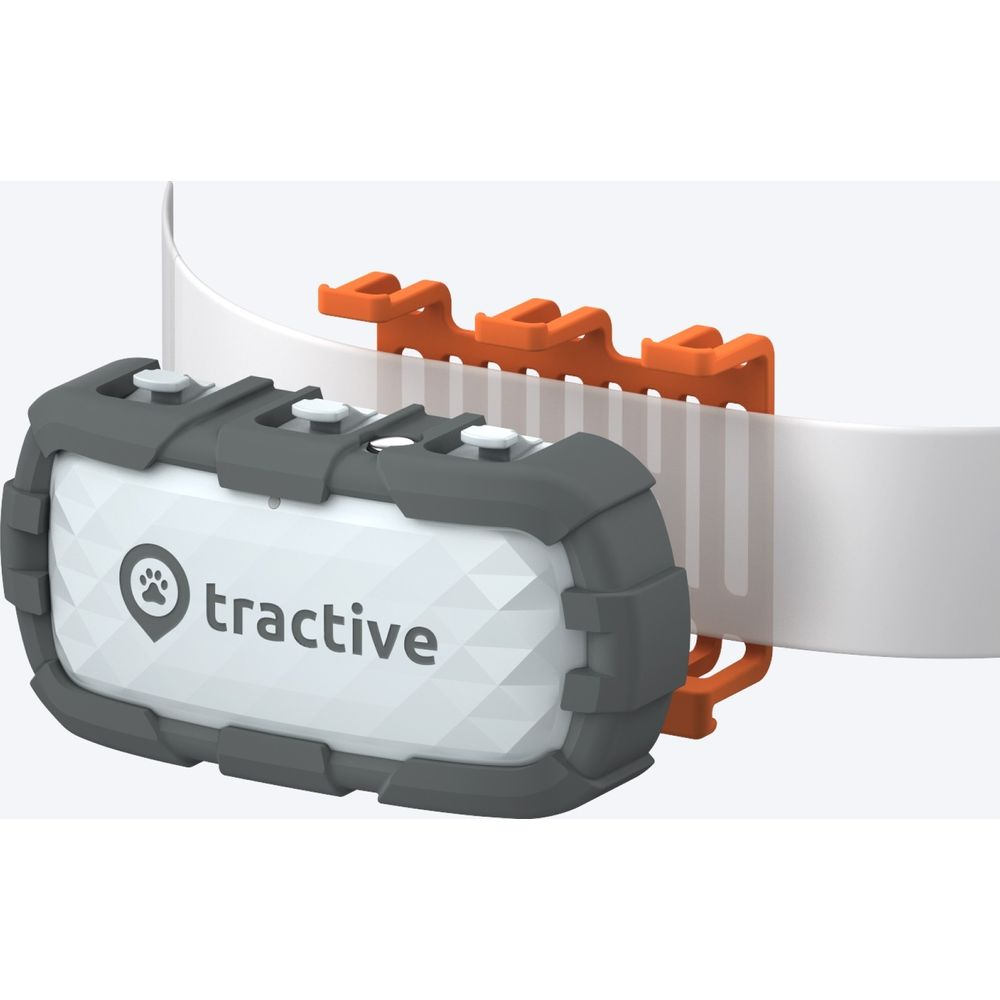 Un dispositivo GPS Tractive gris en una correa blanca con soporte naranja.