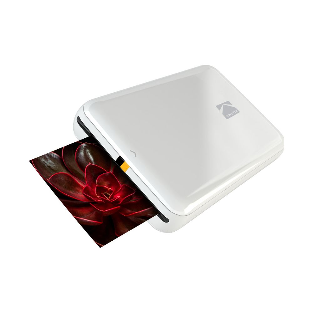 Ein weißer Kodak-Drucker druckt ein Foto einer roten Sukkulente.