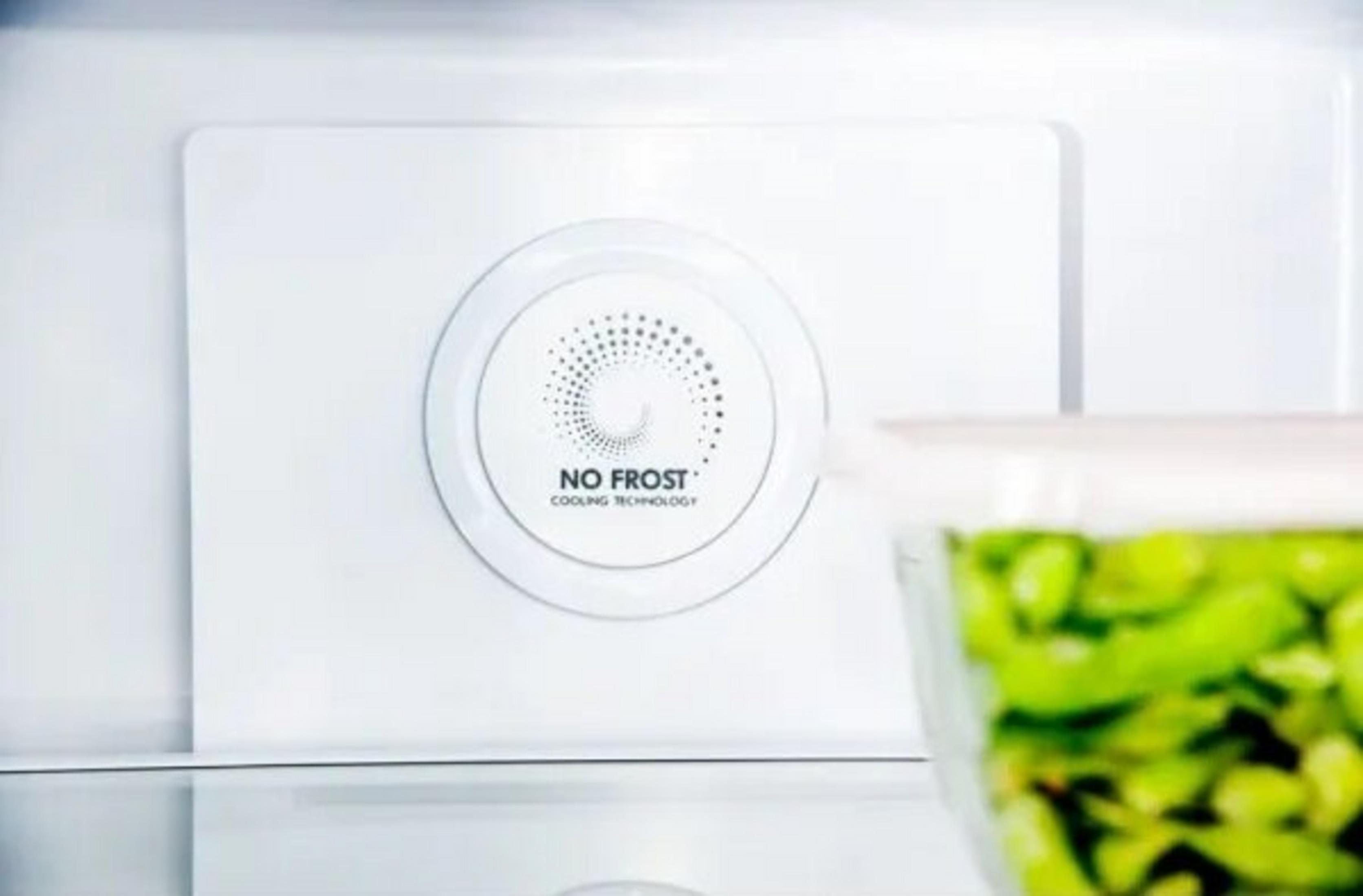 Wnętrze lodówki z technologią "NO FROST" i pojemnikiem zielonej żywności.