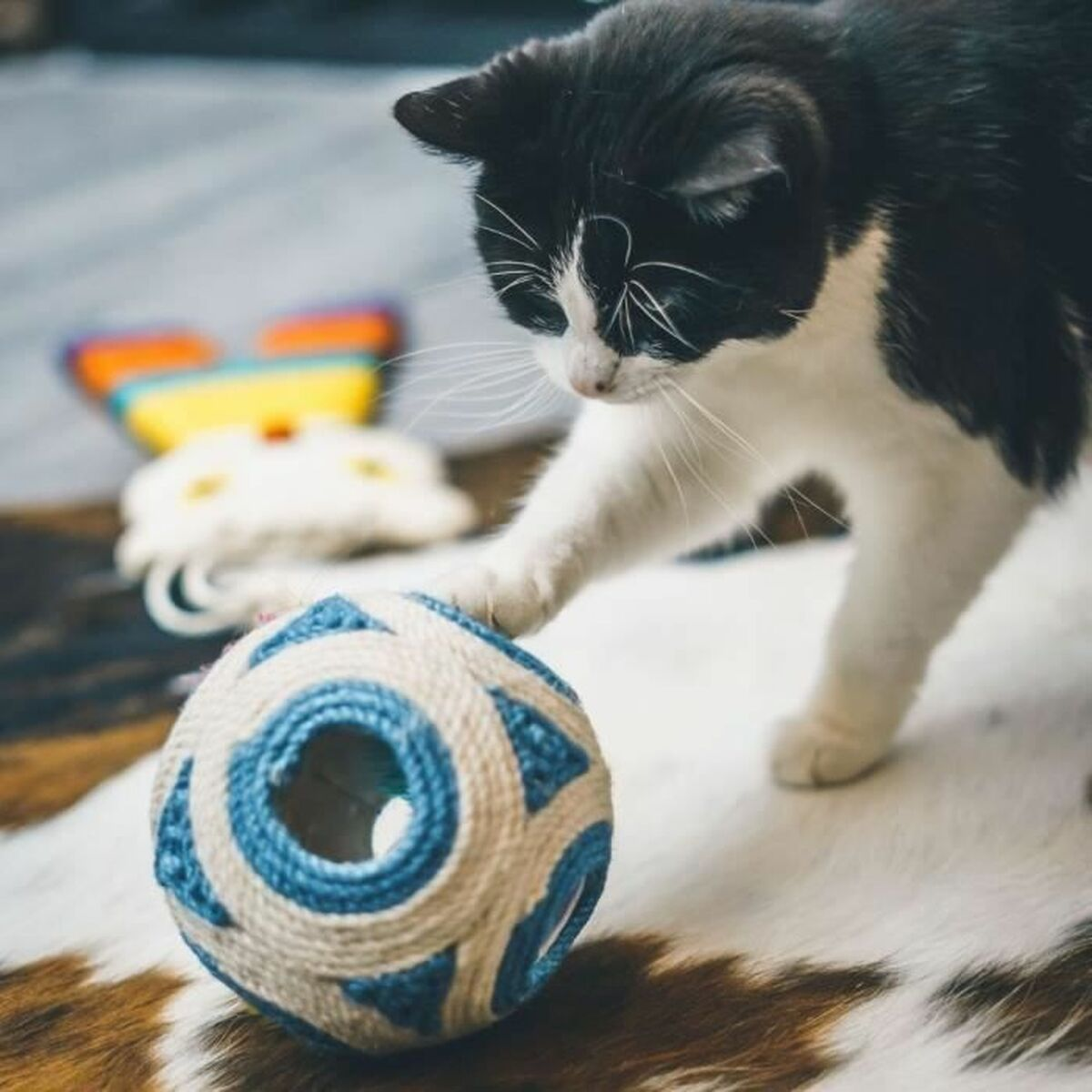 Un gatto bianco e nero gioca con una palla blu e bianca su un tappeto.