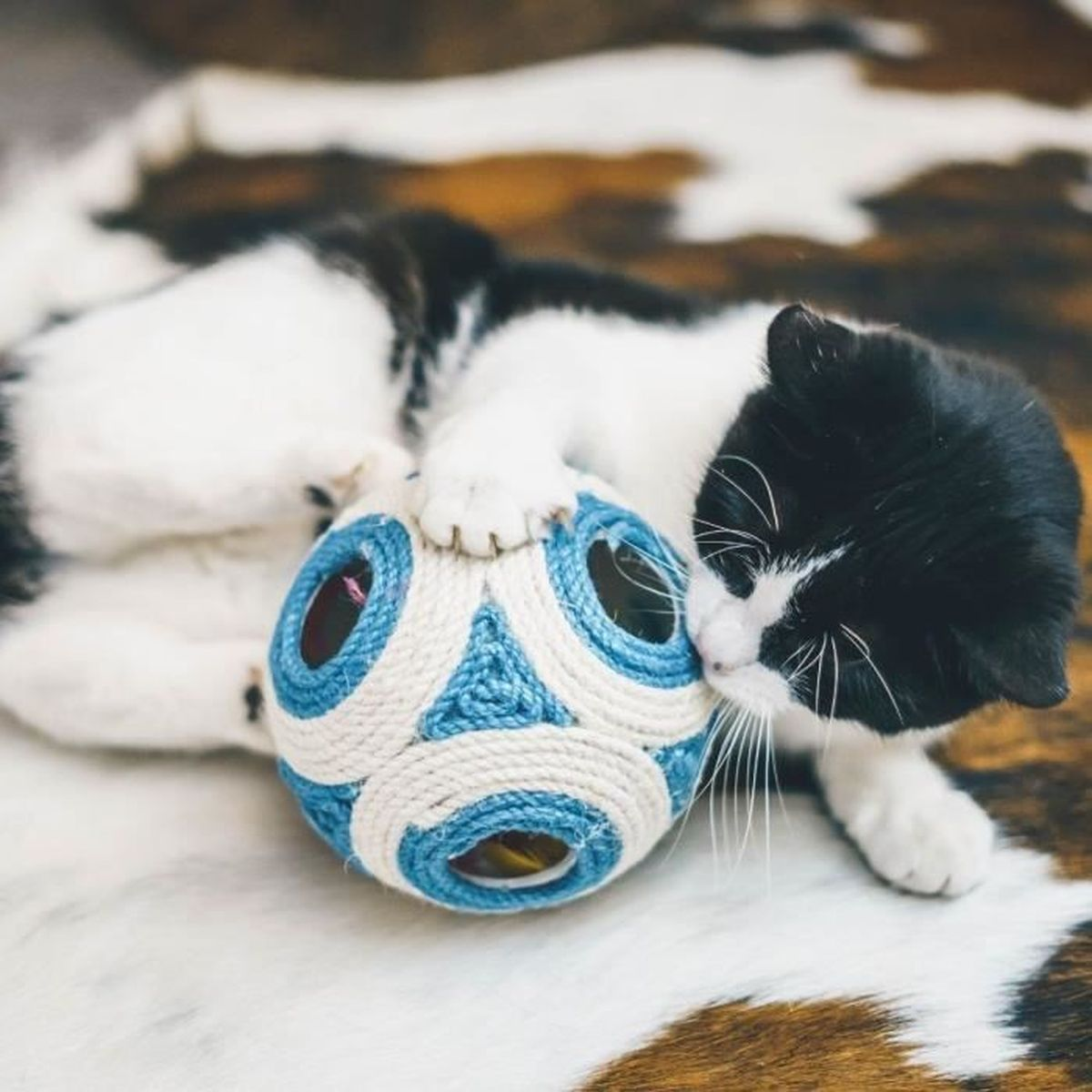 Un gatto bianco e nero gioca con una palla di filo blu e bianco su un tappeto di pelliccia.