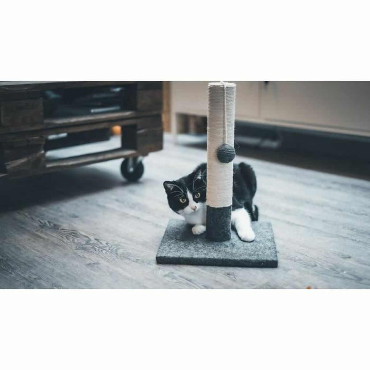 Un gatto bianco e nero sbircia da dietro un tiragraffi su un tappeto grigio.
