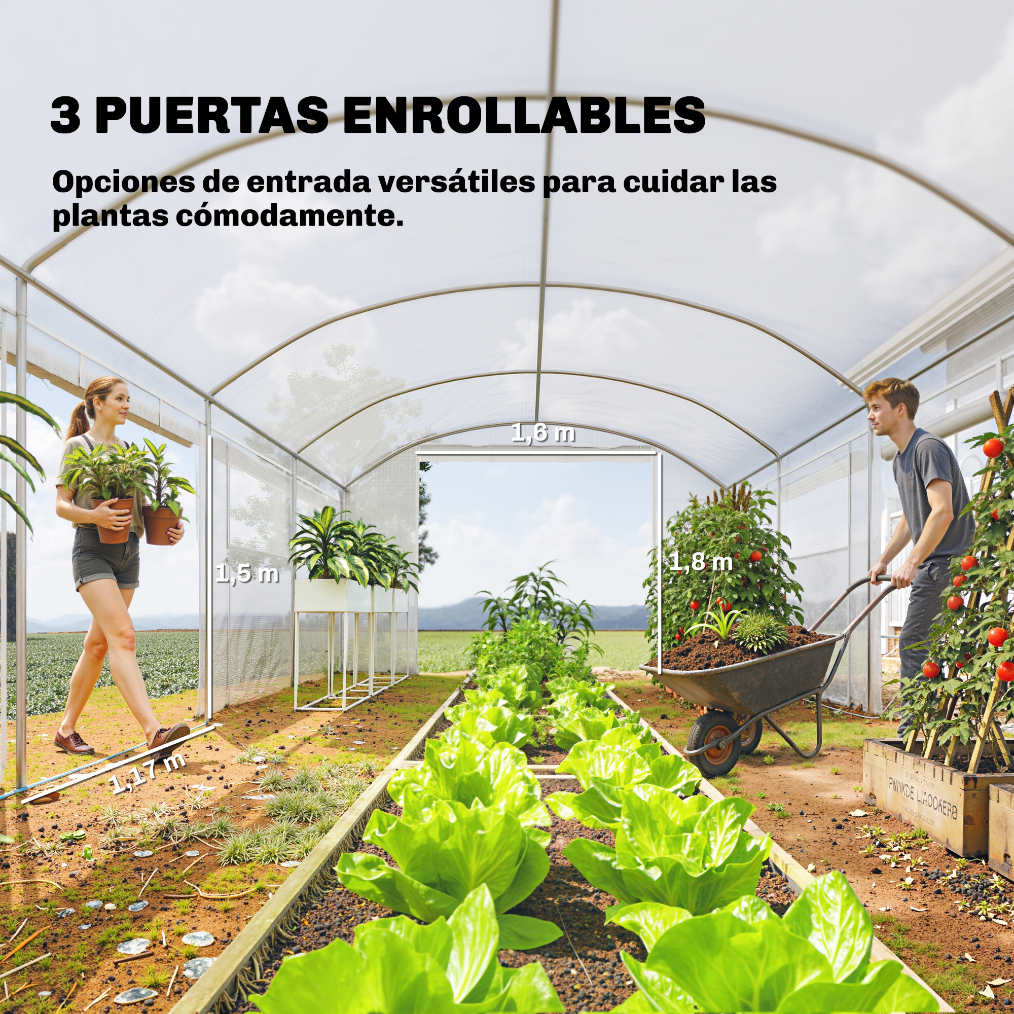 Un hombre empuja una carretilla en un invernadero con tomates y lechugas.