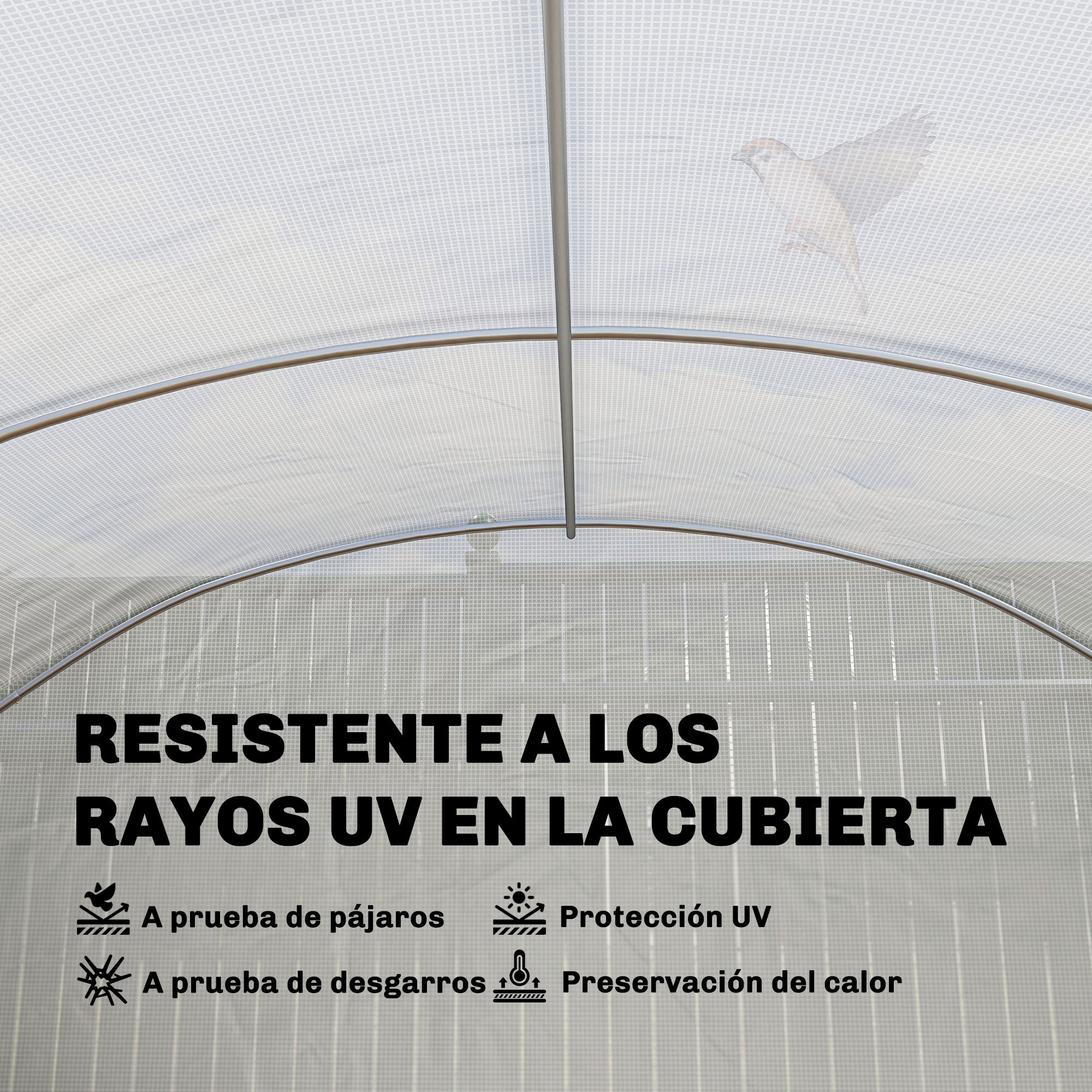 Un pájaro vuela sobre una cubierta transparente y estampada con texto.