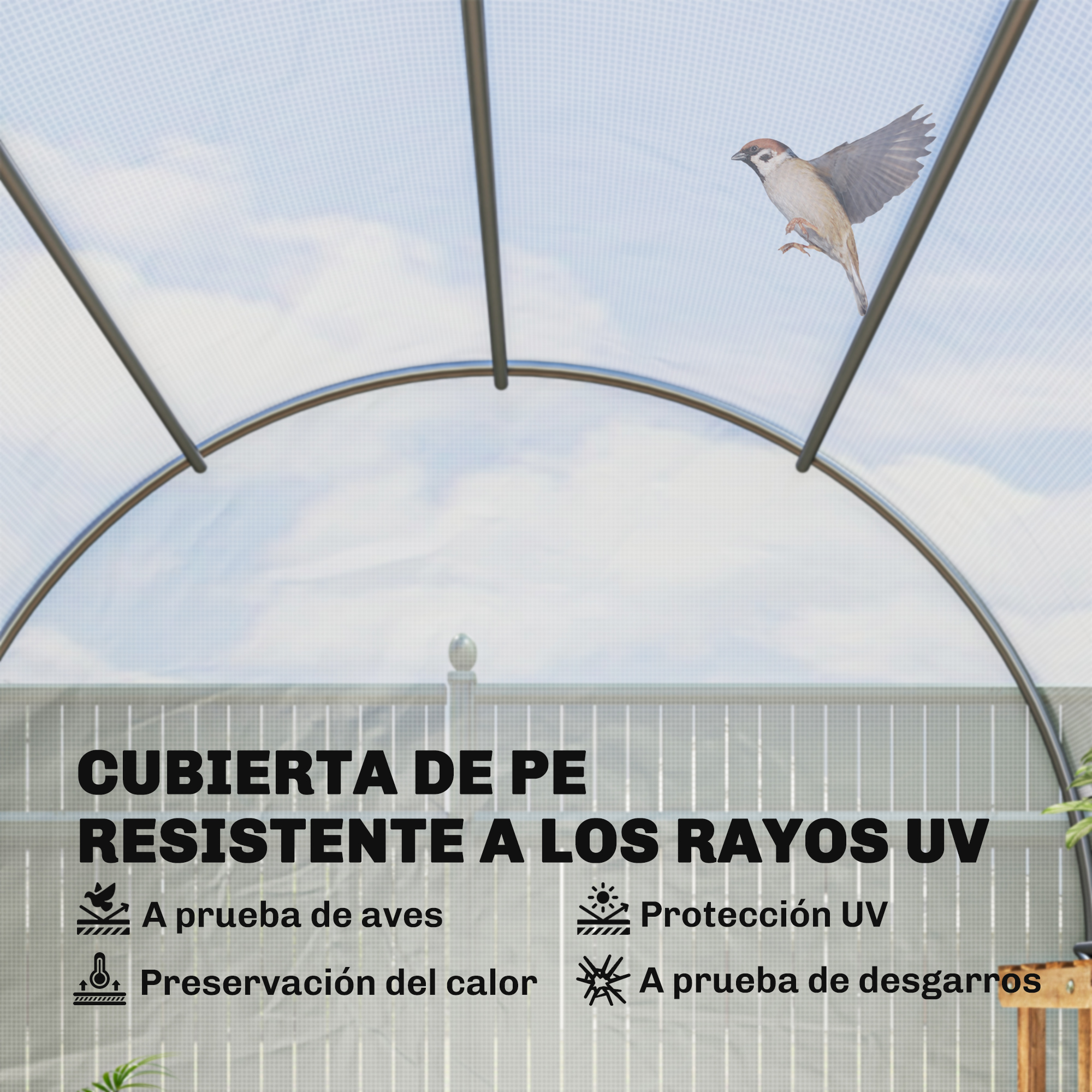 Un gorrión vuela bajo una cúpula transparente con texto sobre protección UV.