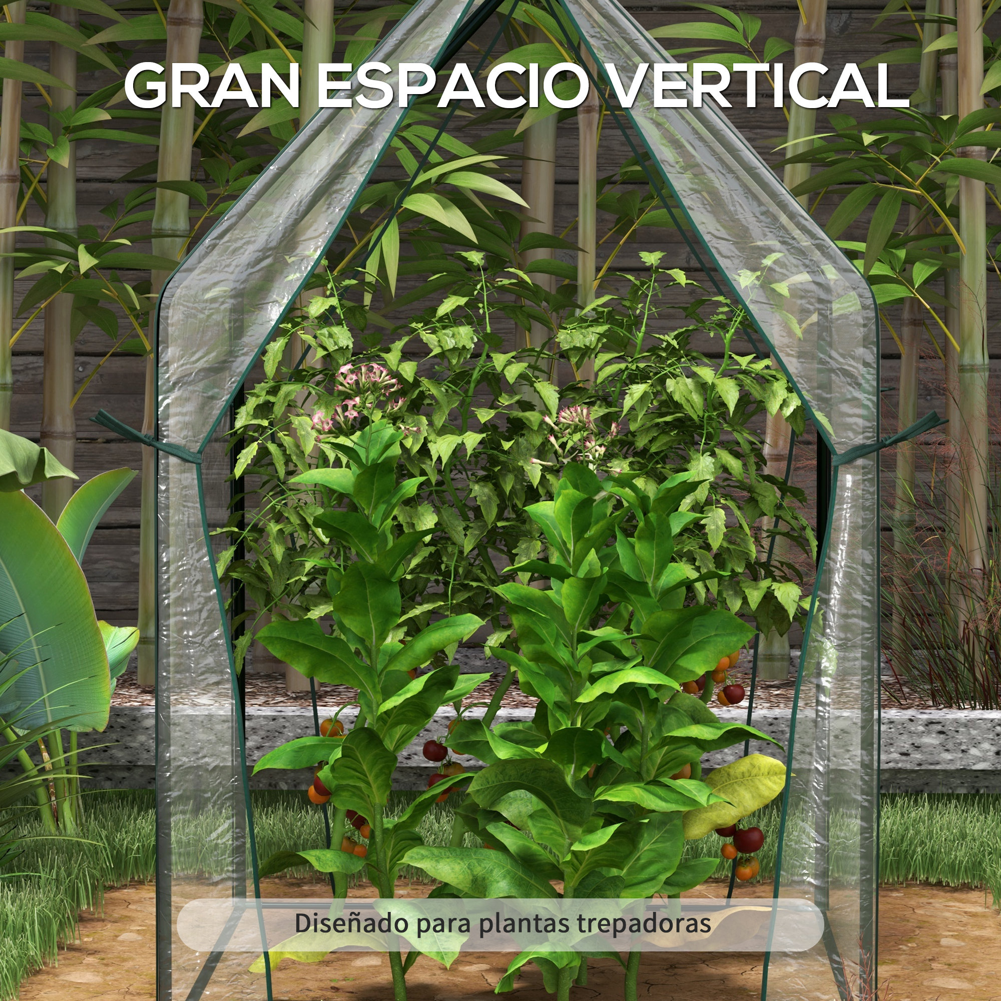 Un invernadero con plantas altas, incluyendo tomates y bambú al fondo.