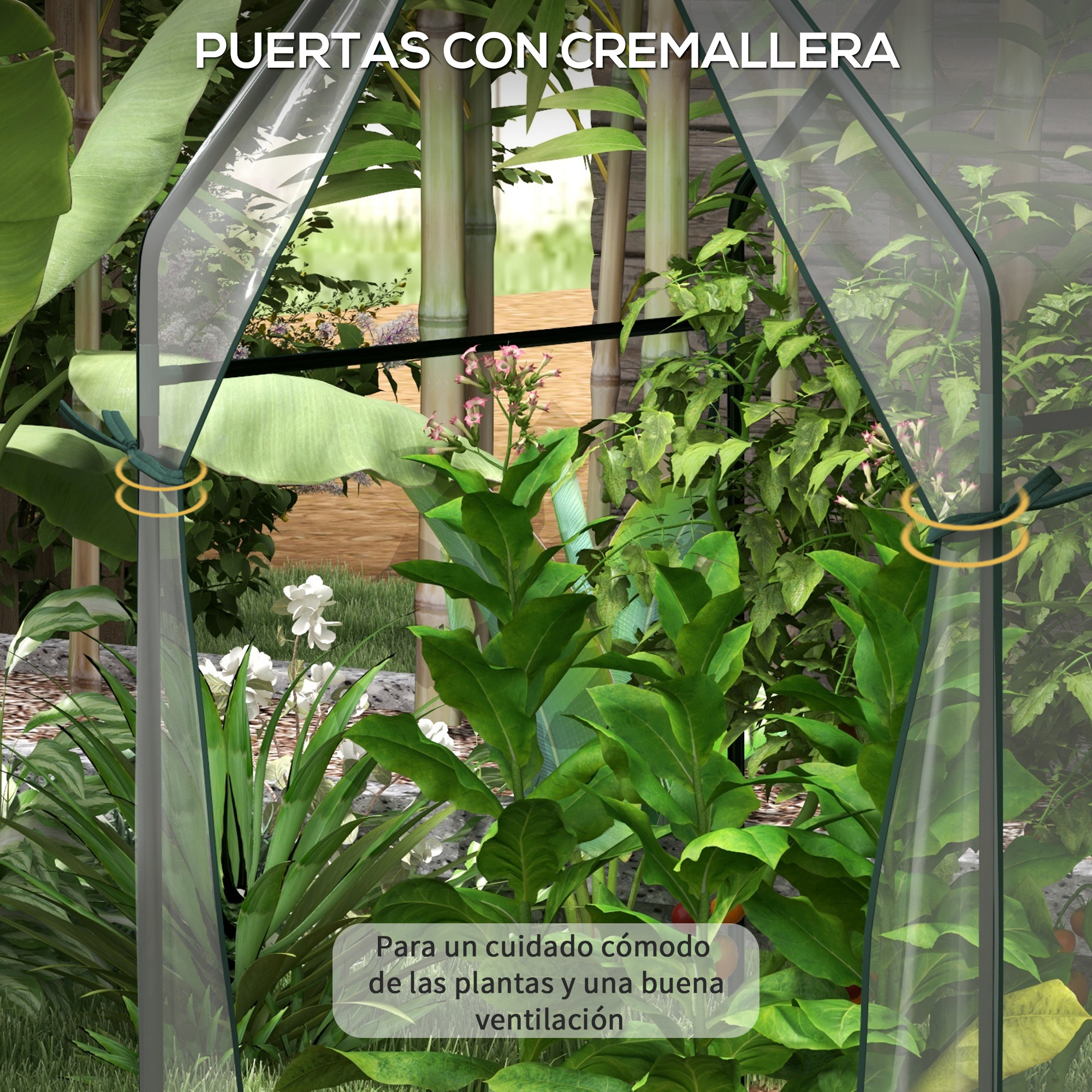 Un invernadero con plantas verdes y tallos de bambú al fondo.
