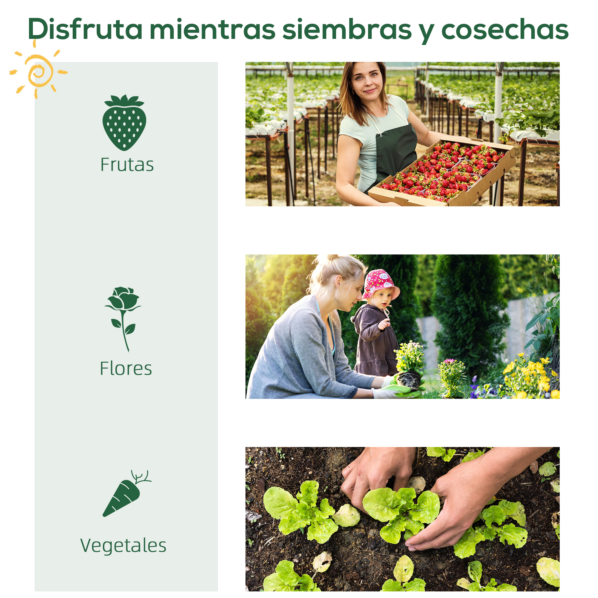 Mujer cosecha fresas en invernadero; madre e hijo plantan en jardín; manos plantan lechuga.