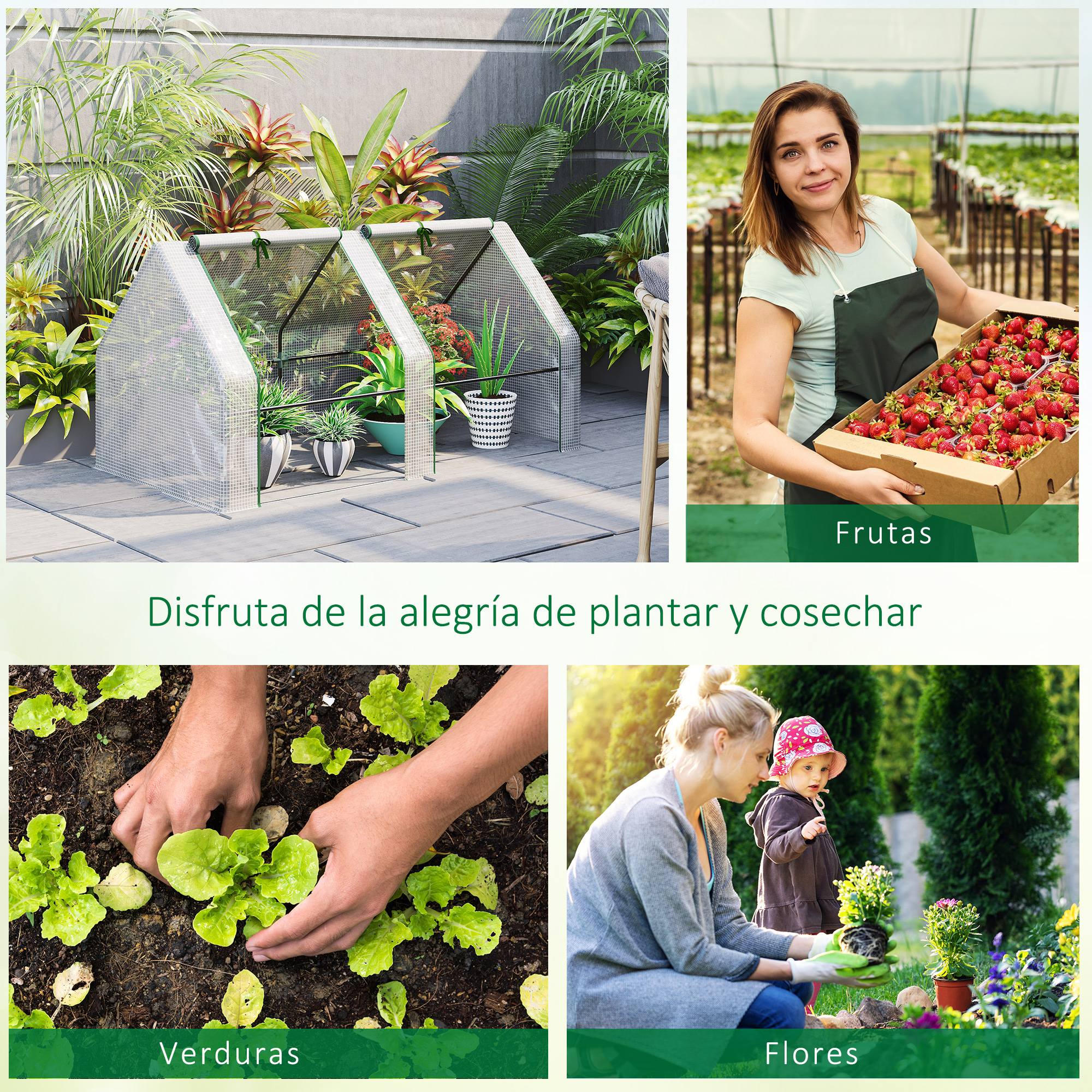 Cuatro escenas: Mini invernaderos, mujer con fresas, manos plantando lechuga, mujer y niño plantando flores.