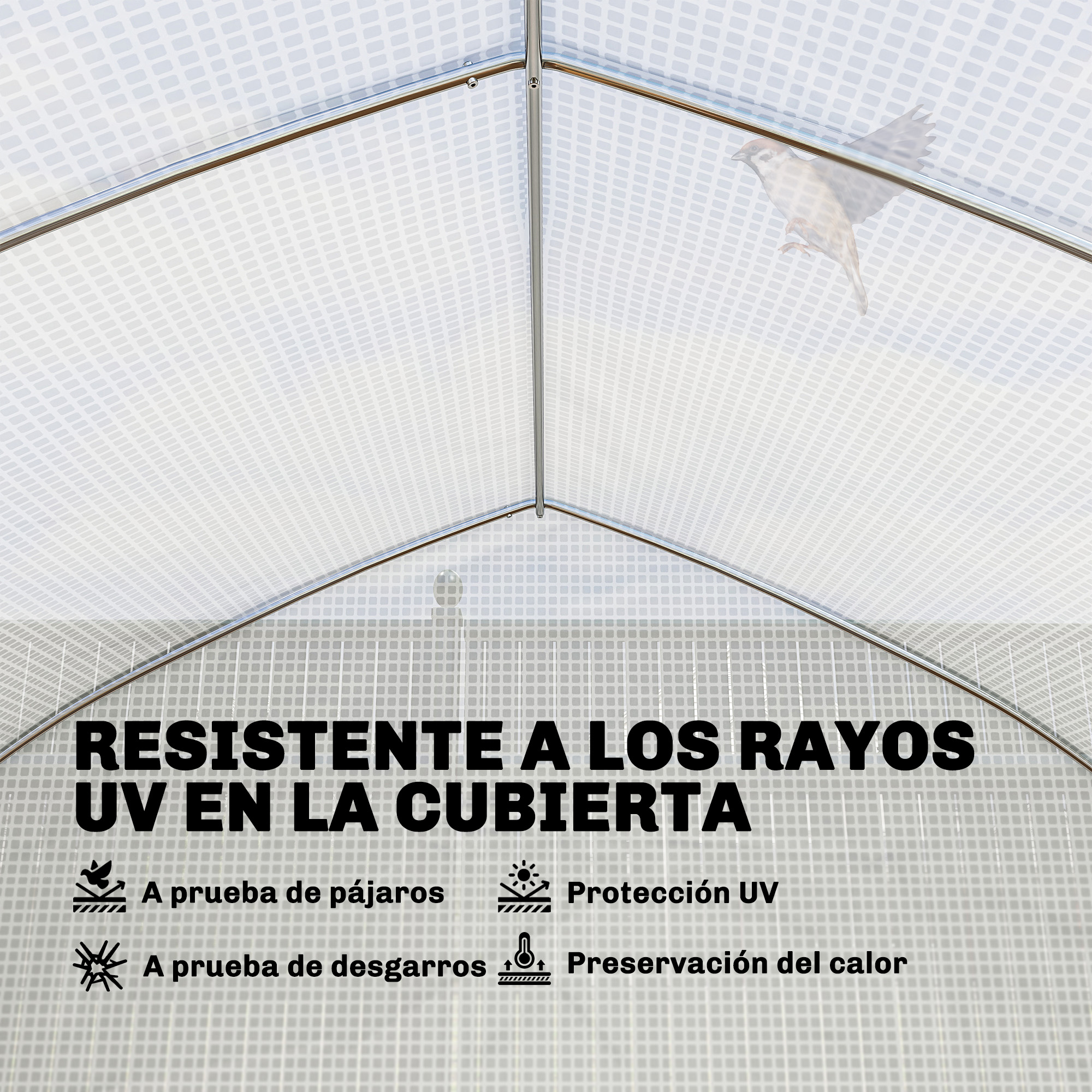 Un pájaro vuela bajo un dosel transparente a cuadros con soportes metálicos.