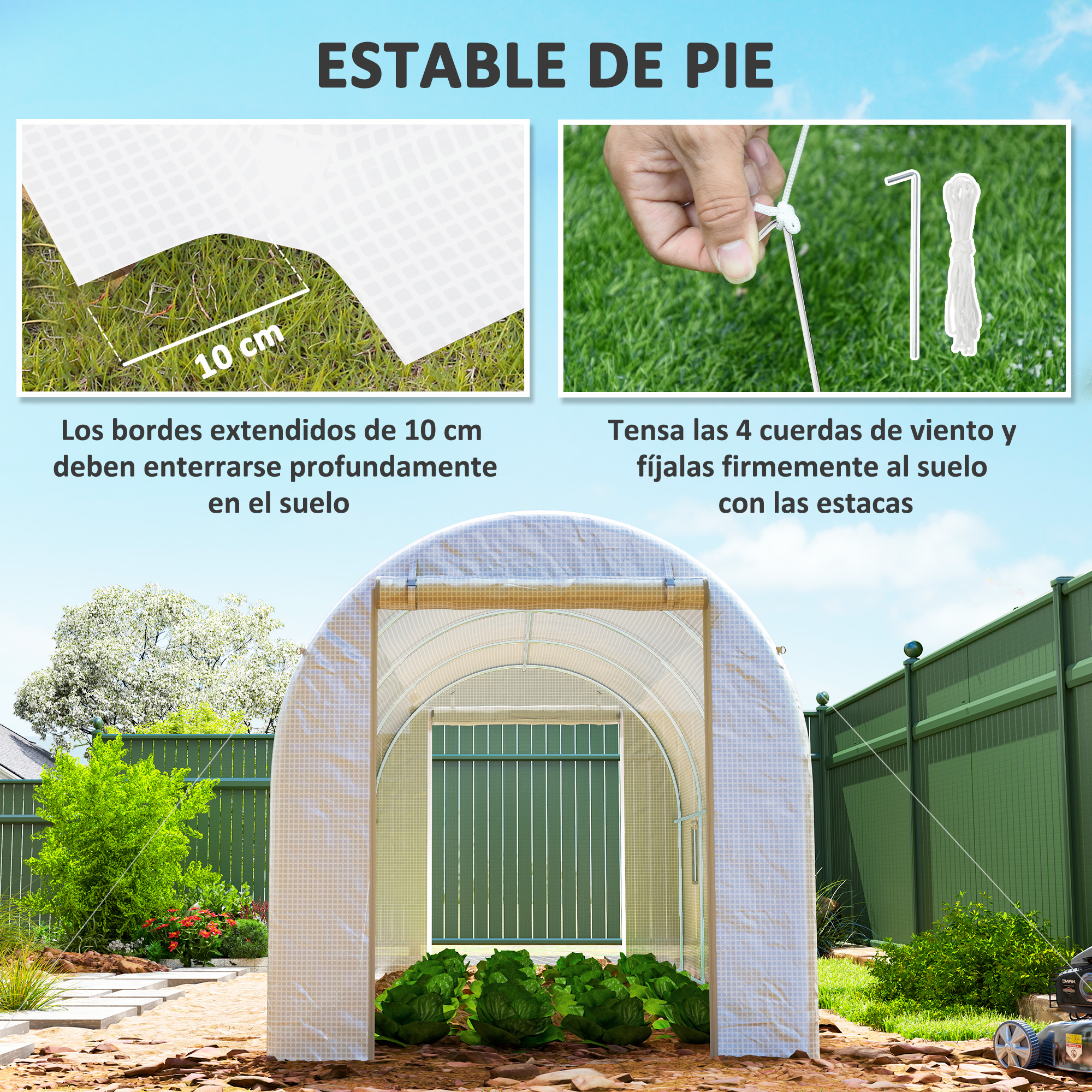 Invernadero con plantas de lechuga, asegurado con cuerdas y estacas. Instrucciones muestran anclaje de 10cm y fijación.