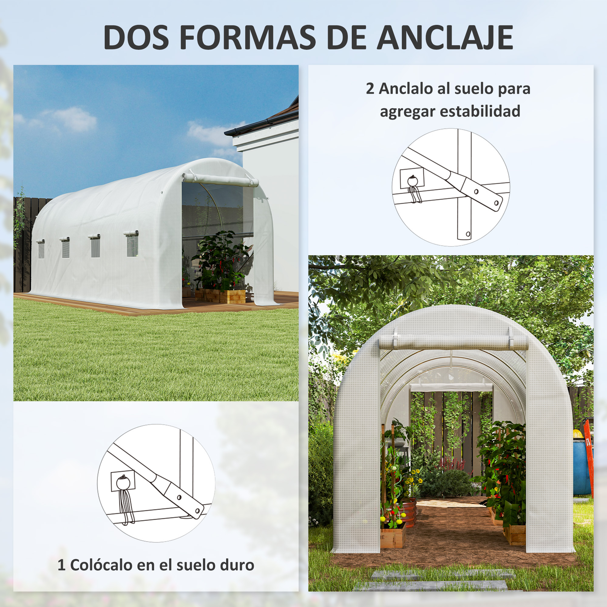 Un invernadero blanco con plantas y césped. Instrucciones para anclar.