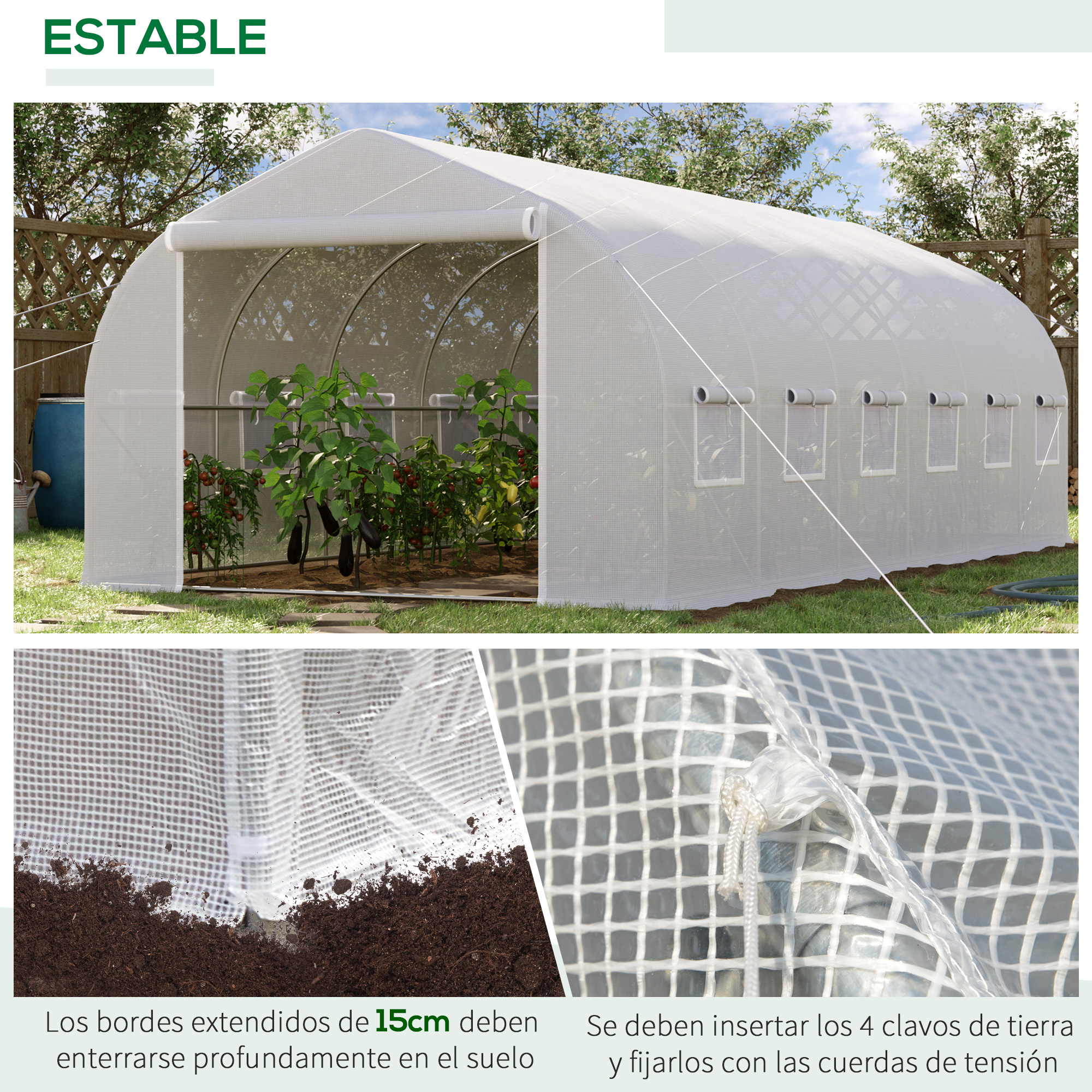 Un invernadero resistente con plantas dentro, mostrando primeros planos de anclaje al suelo.