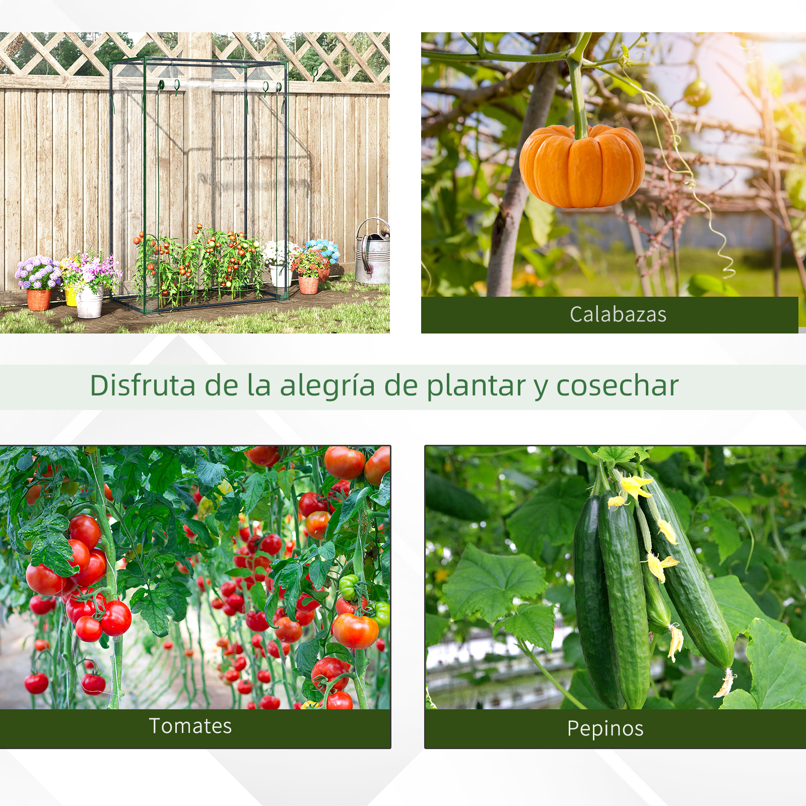 Un invernadero con plantas de tomate y flores al aire libre.