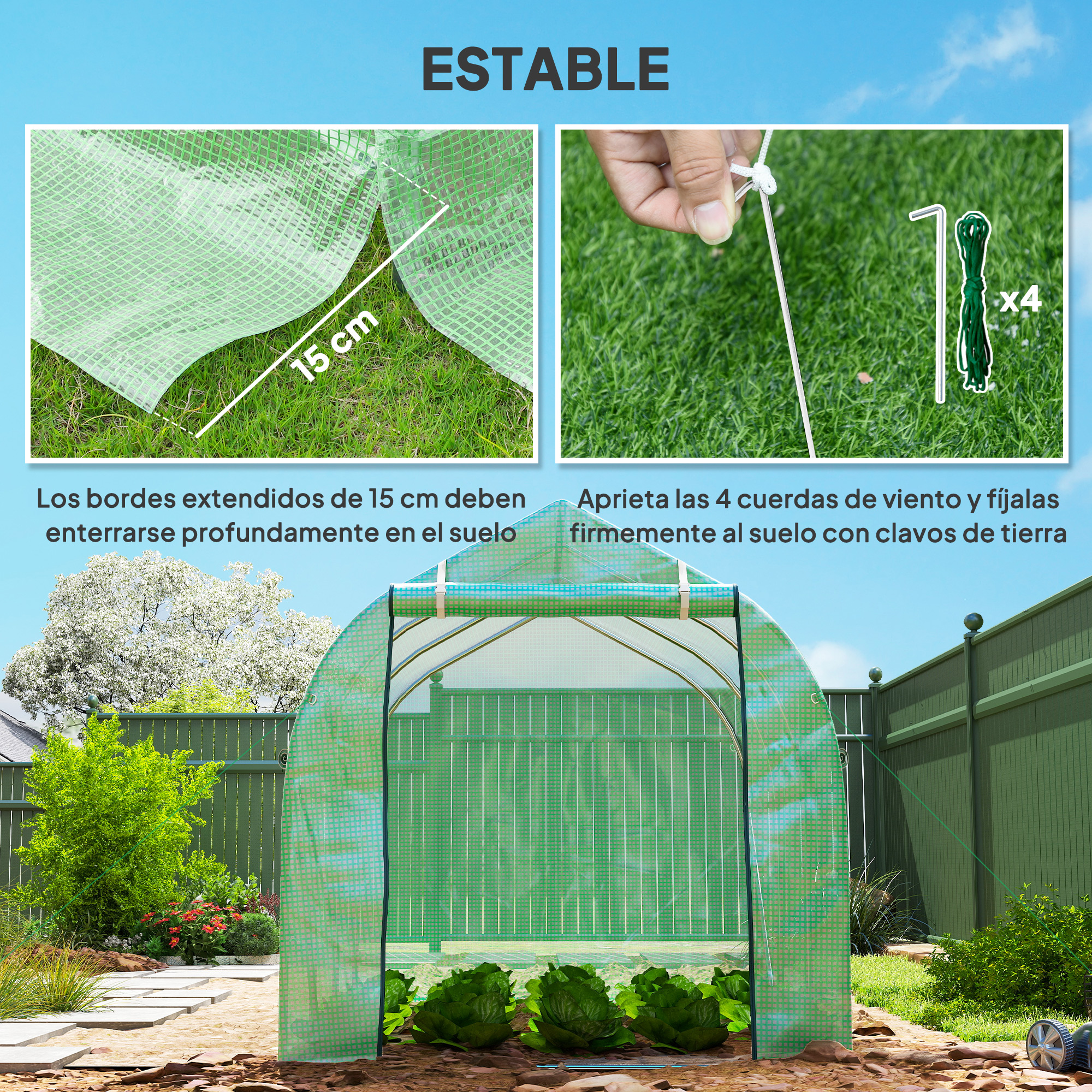 Un invernadero verde con plantas de lechuga. Borde de 15 cm para enterrar.