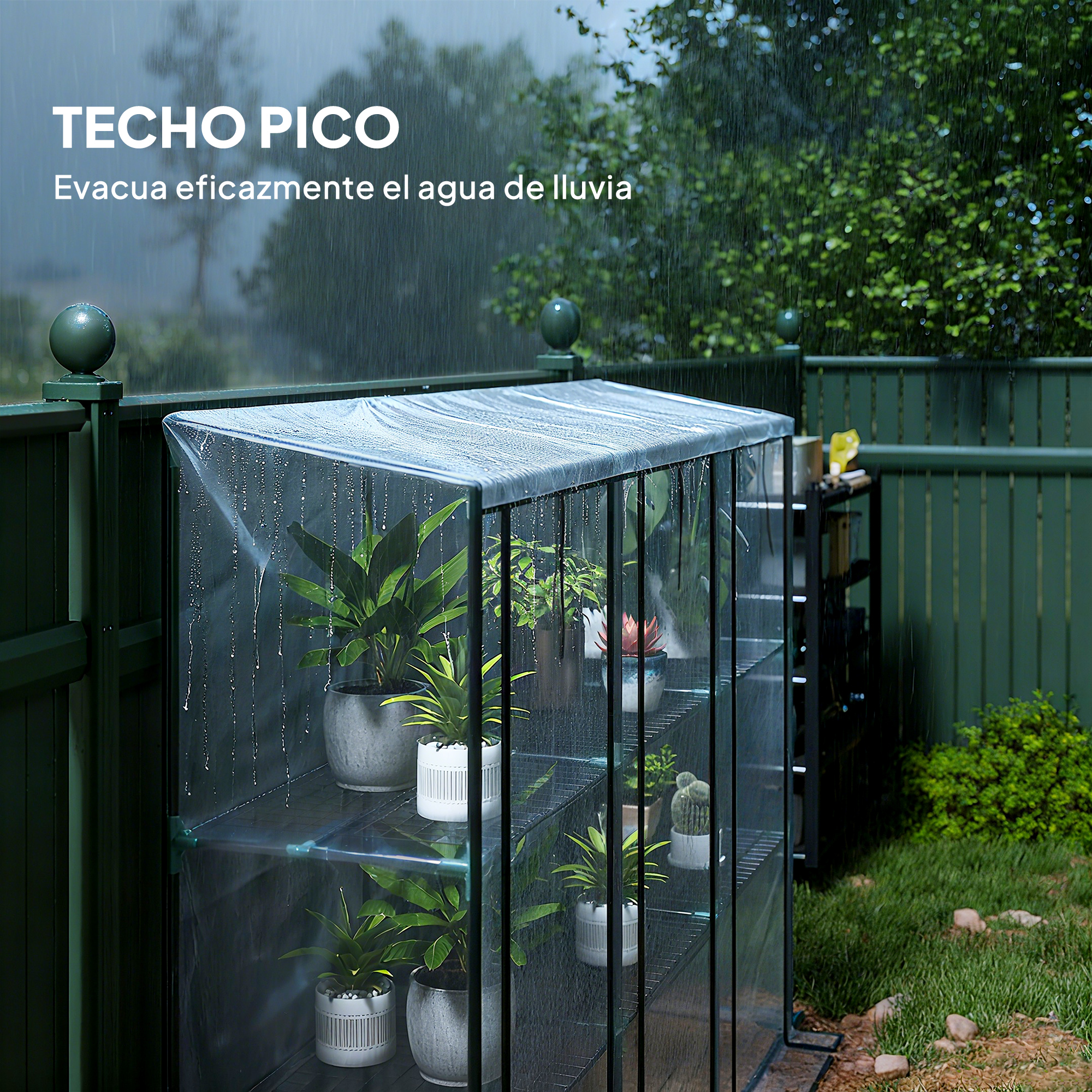 Un invernadero con plantas bajo la lluvia. Gotas de agua caen por el techo de plástico.