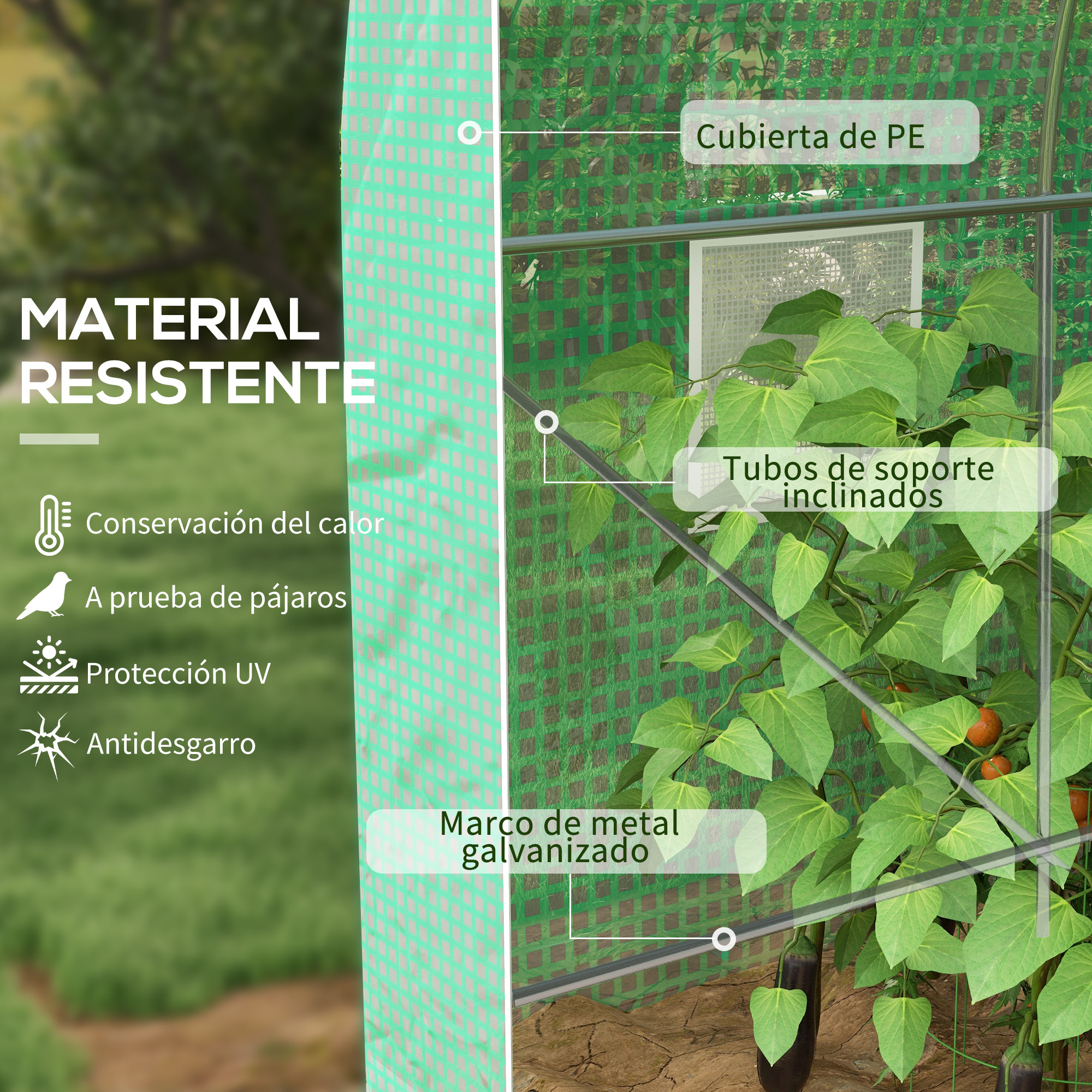 Invernadero verde con plantas, marco de metal y cubierta de PE.