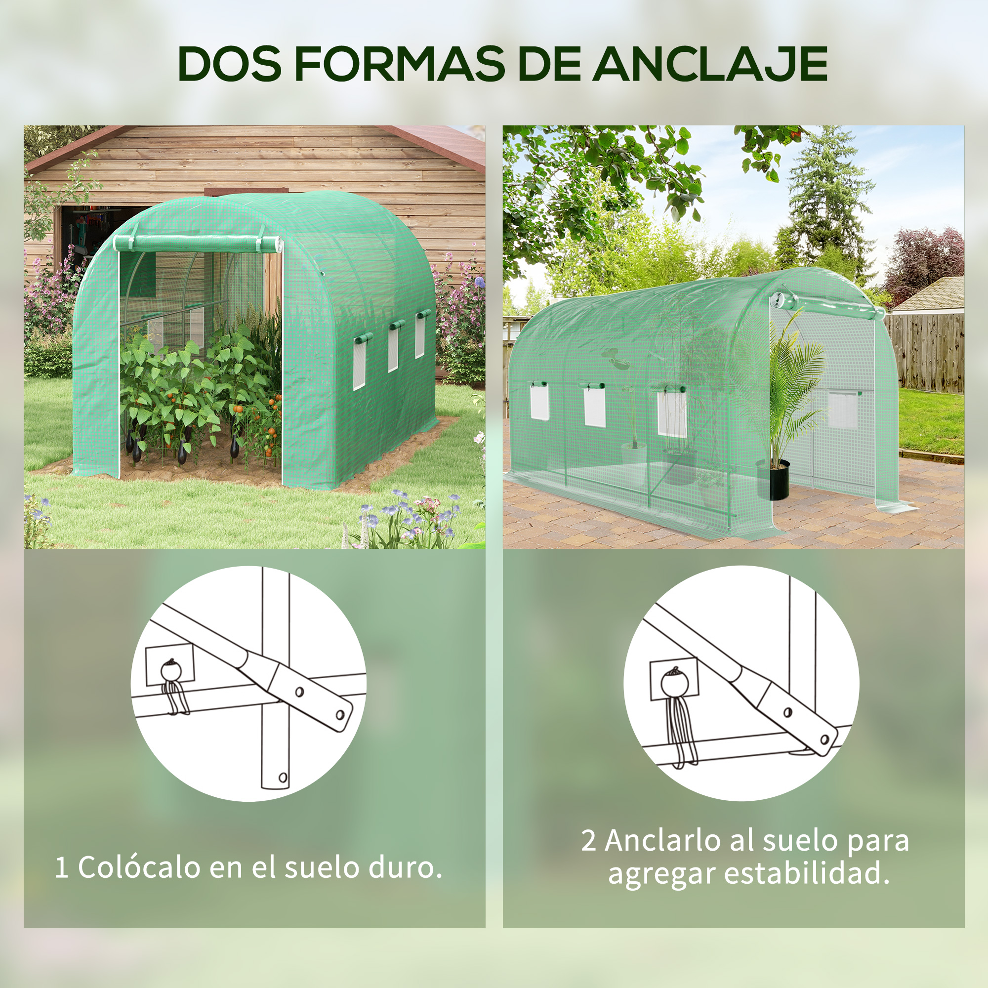 Dos invernaderos exteriores, uno con plantas, el otro vacío.