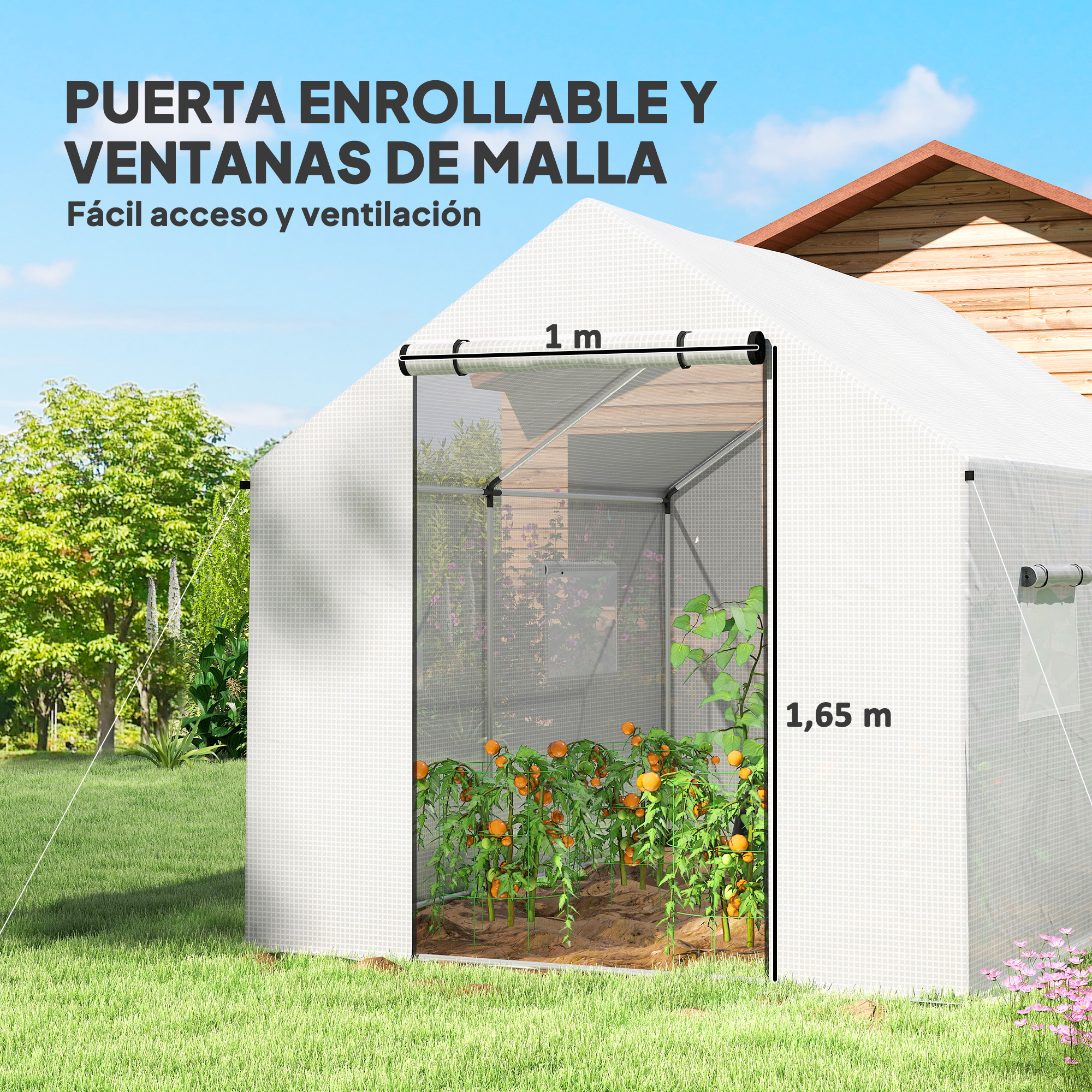 Un invernadero con puerta enrollable y ventanas de malla, plantas de tomate dentro.