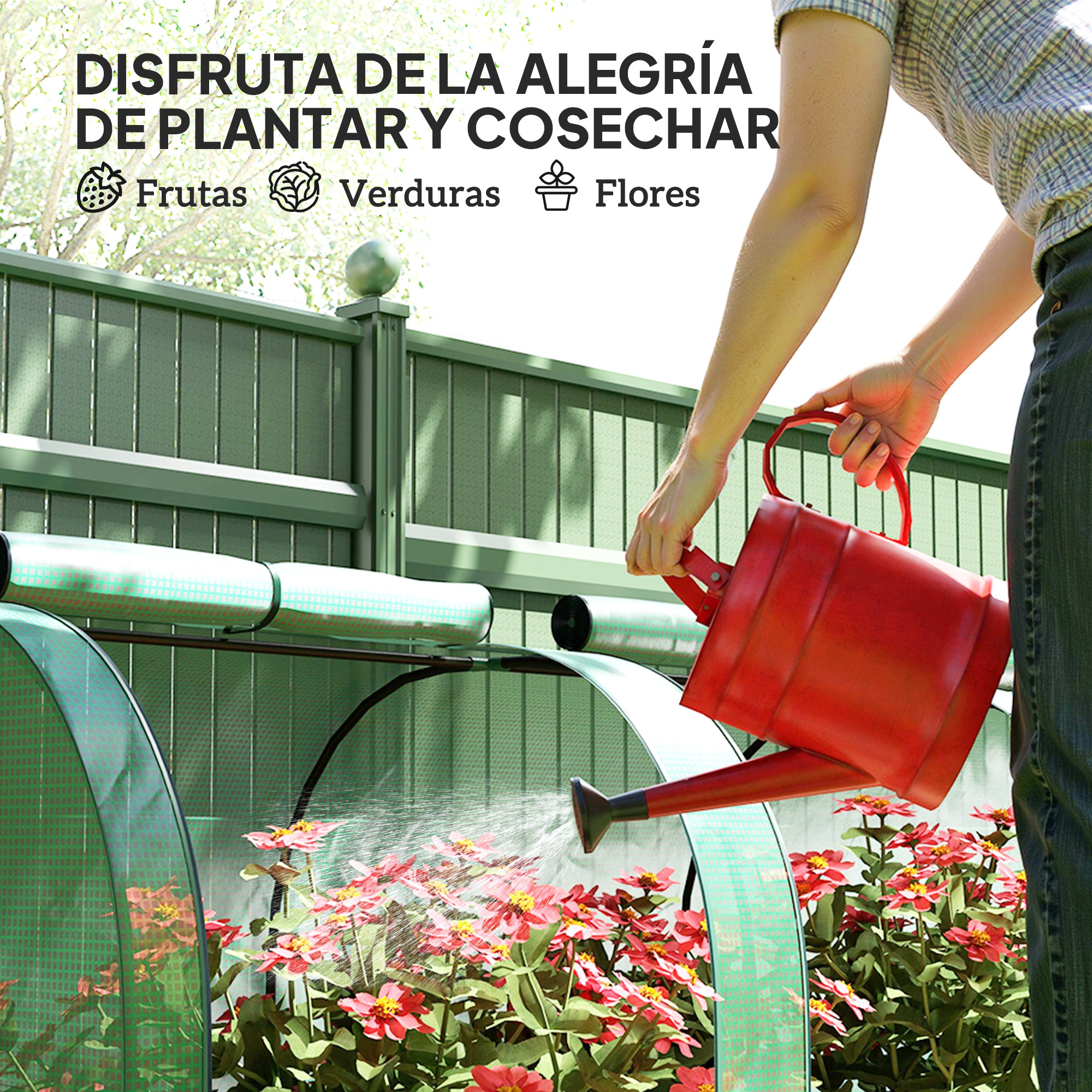 Una persona riega flores rojas con una regadera roja en un invernadero.