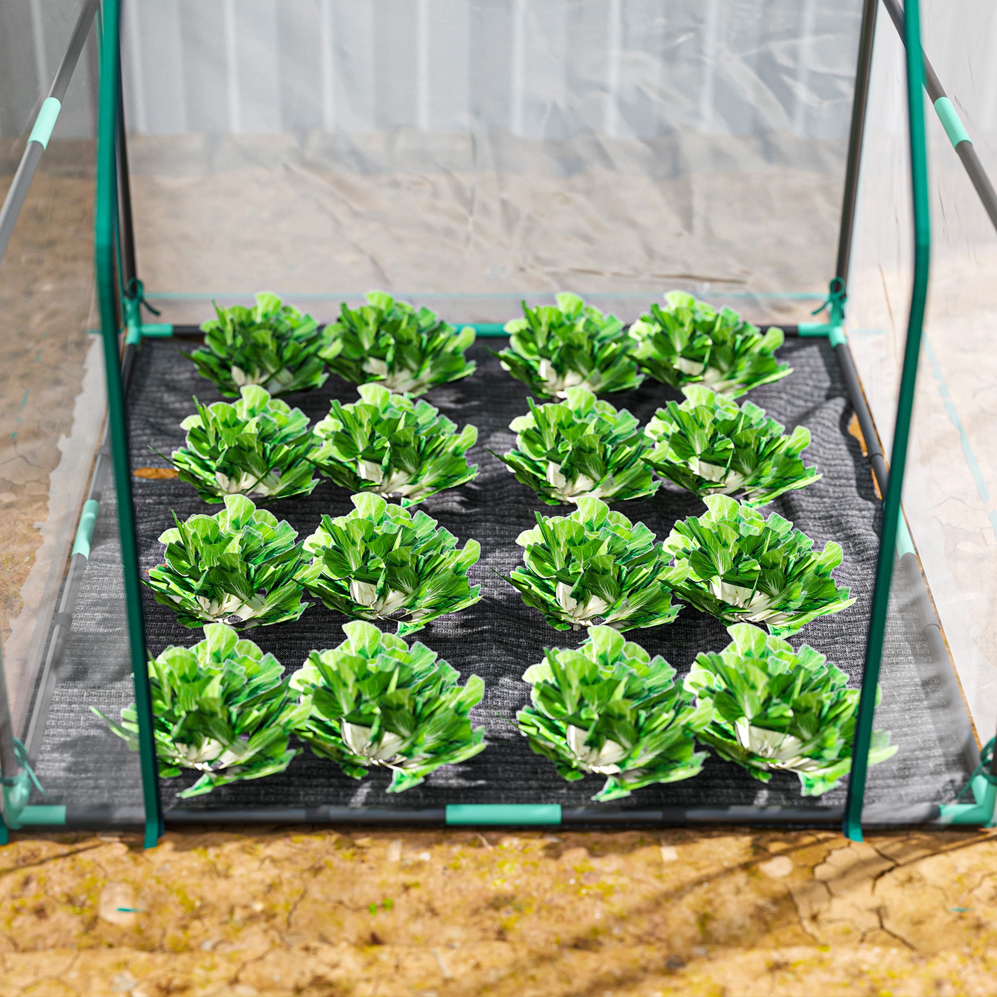 Muchas plantas de lechuga verde crecen en un pequeño invernadero sobre tela negra.