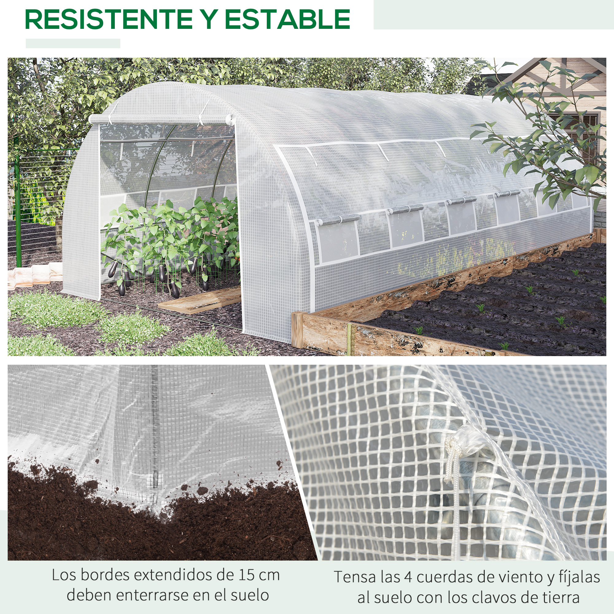 Un invernadero con plantas de hortalizas y fresas. Primer plano del material del invernadero.