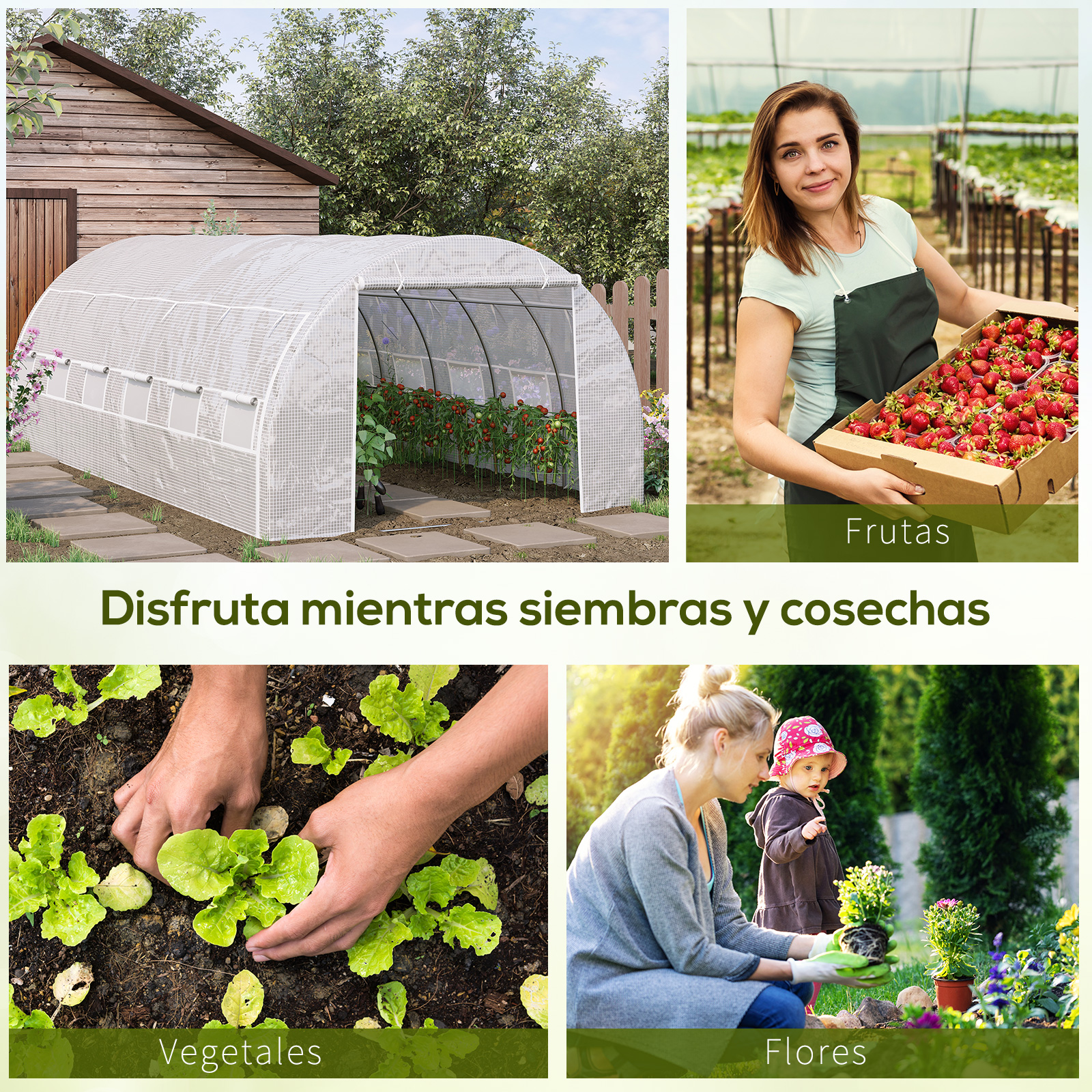 Un túnel de plástico junto a un cobertizo, mujer con fresas, manos plantando lechuga, mujer con niño.