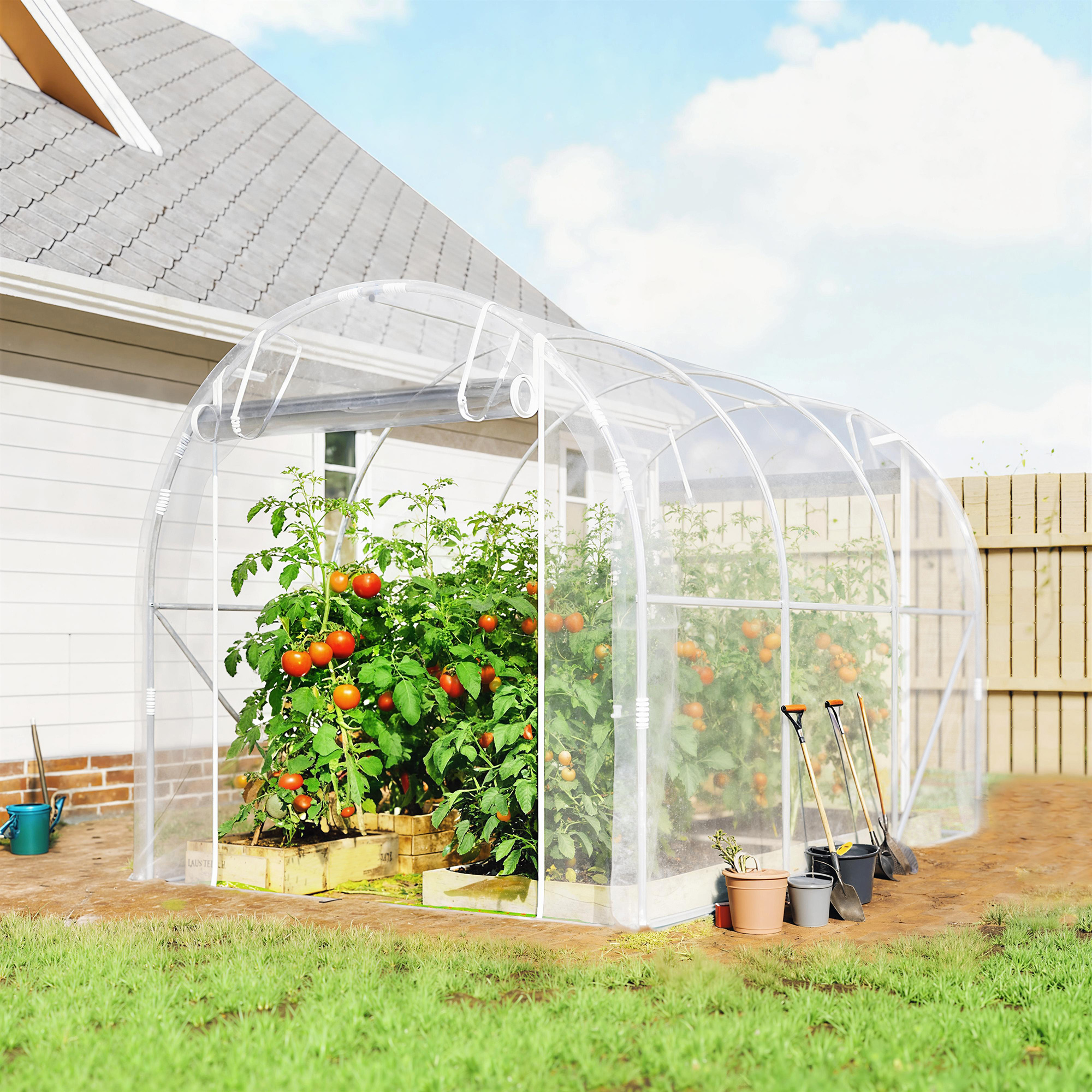 Un invernadero con plantas de tomate, herramientas de jardinería y una casa.