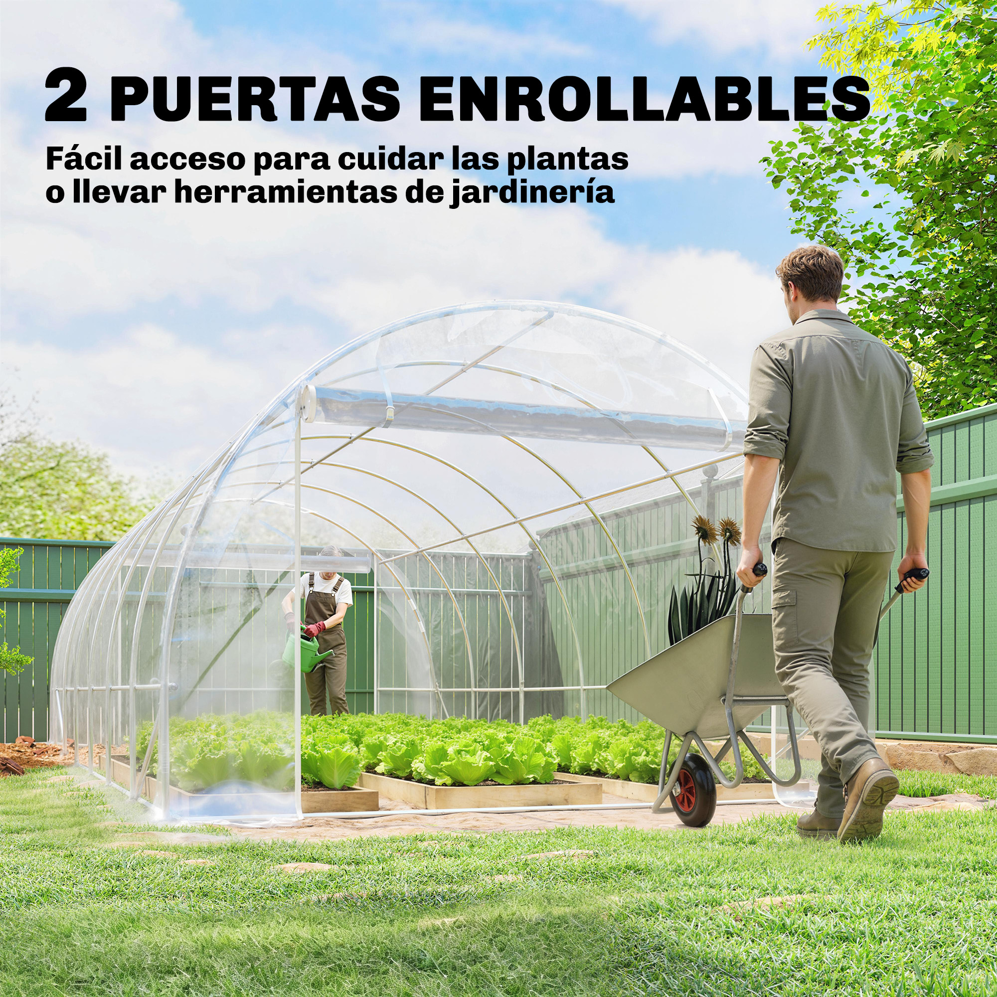 Hombre empuja carretilla a invernadero con lechuga. Persona riega plantas.
