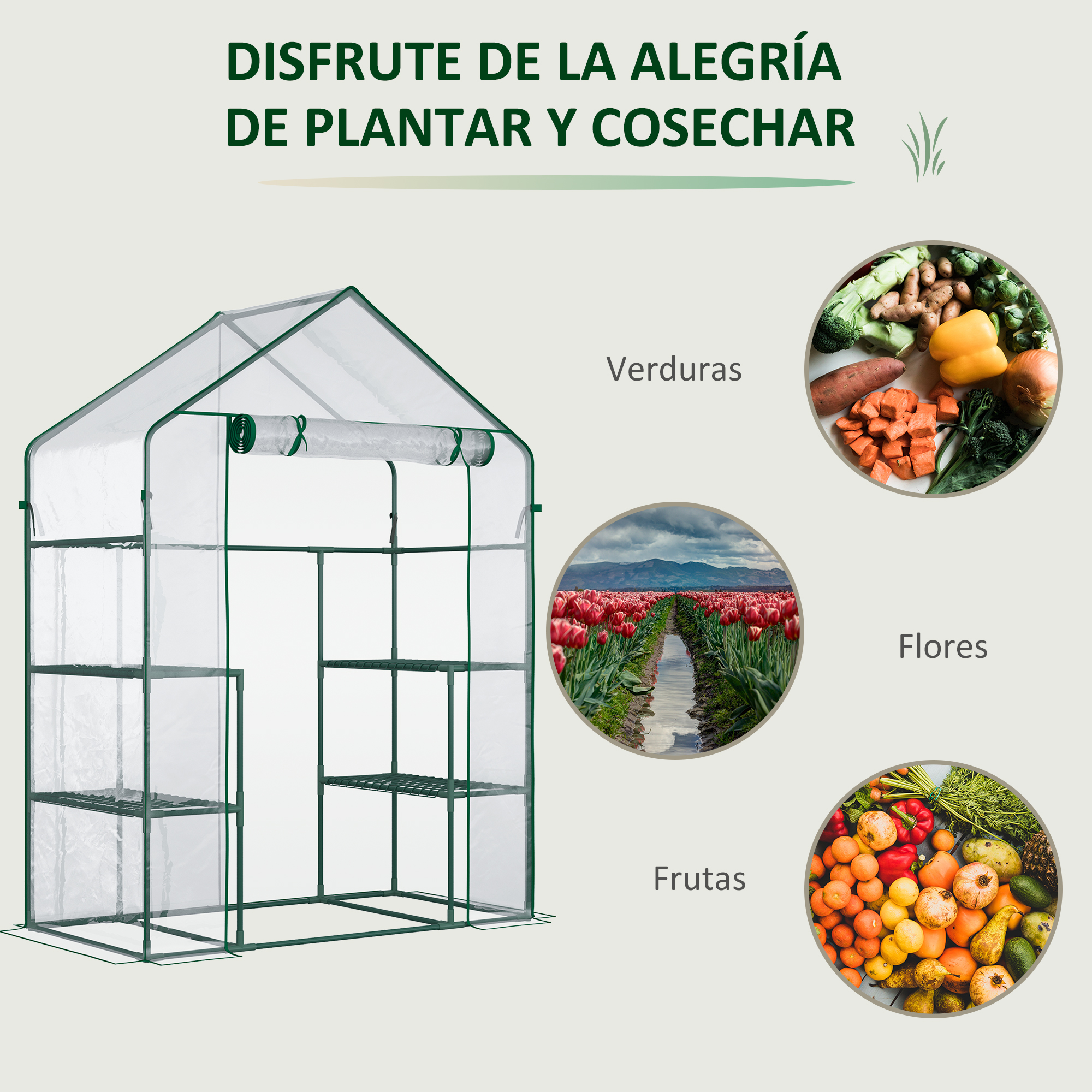 Un invernadero con estantes, junto a imágenes de verduras, flores y frutas.