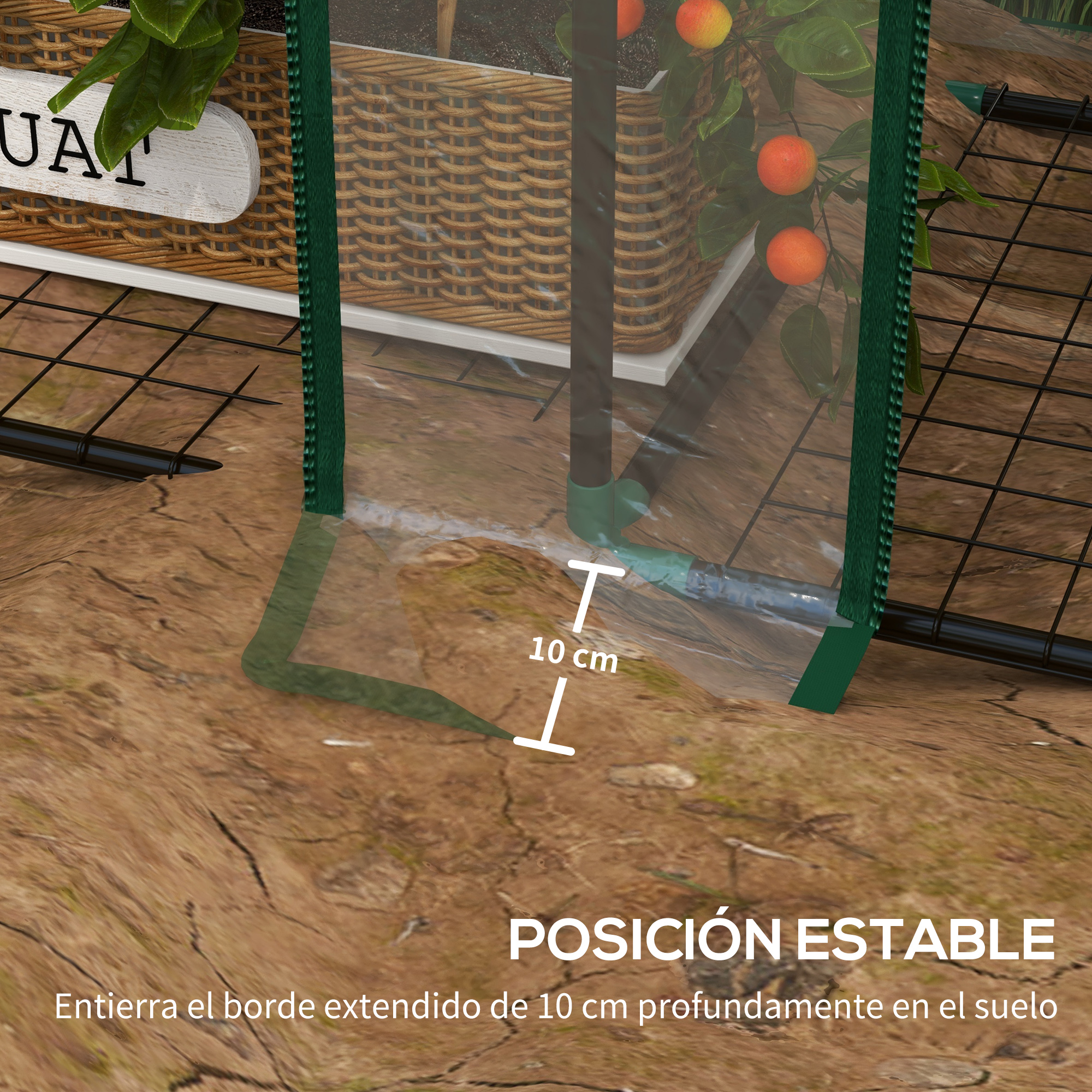 Un invernadero con una cesta de mimbre y fruta. El borde tiene 10 cm.
