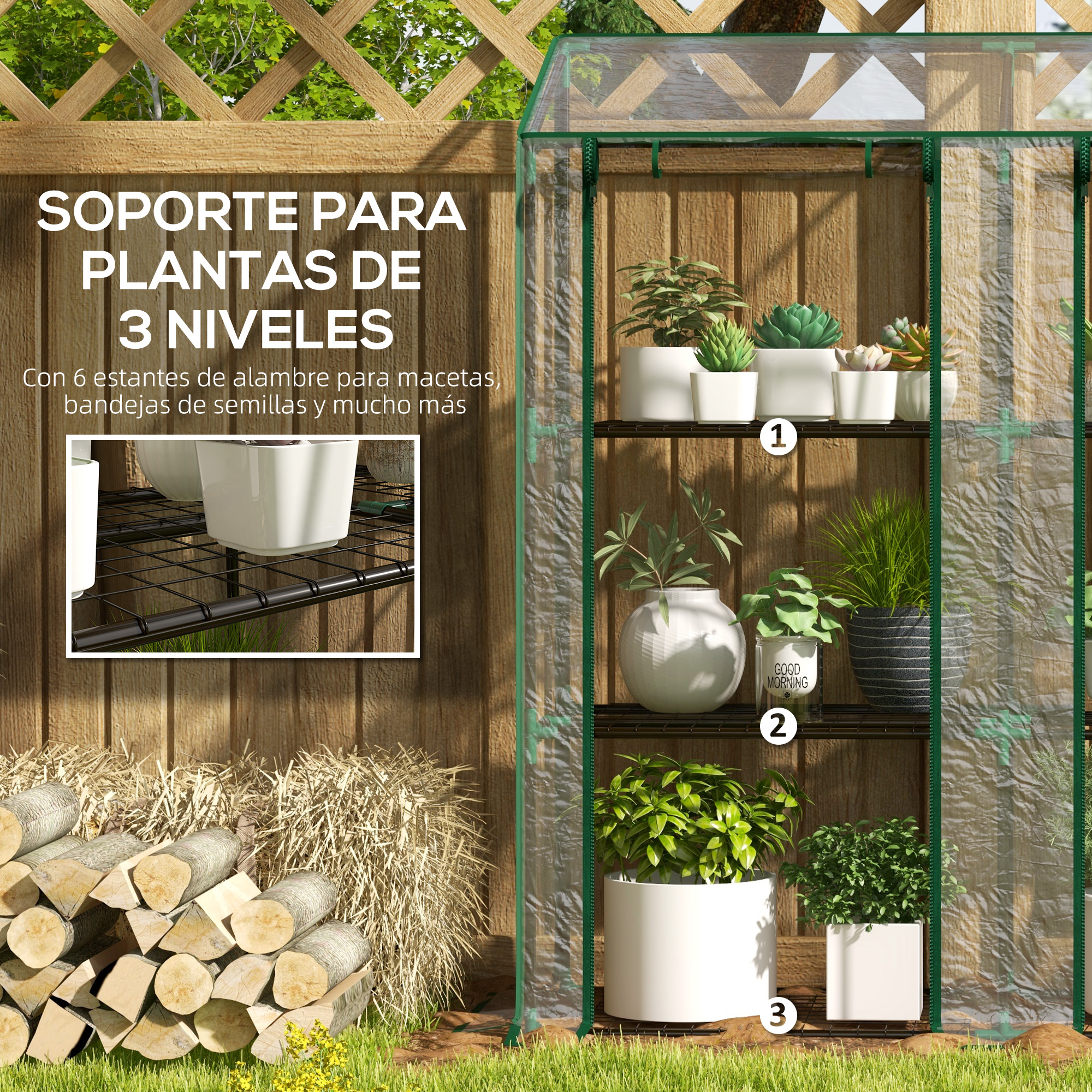 Un invernadero de tres niveles con varias plantas expuestas en estantes.