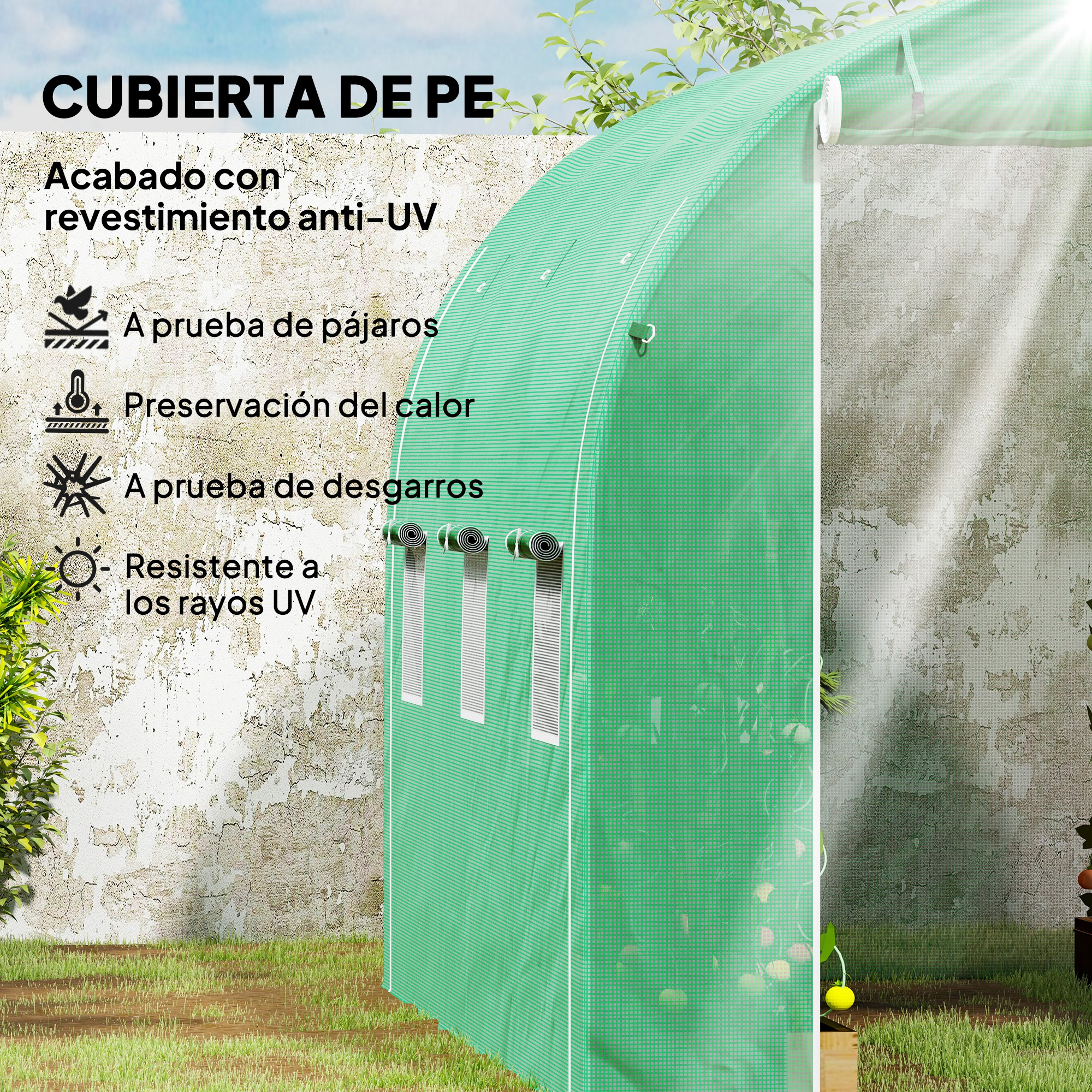 Invernadero verde con ventanas junto a muro, césped y plantas.