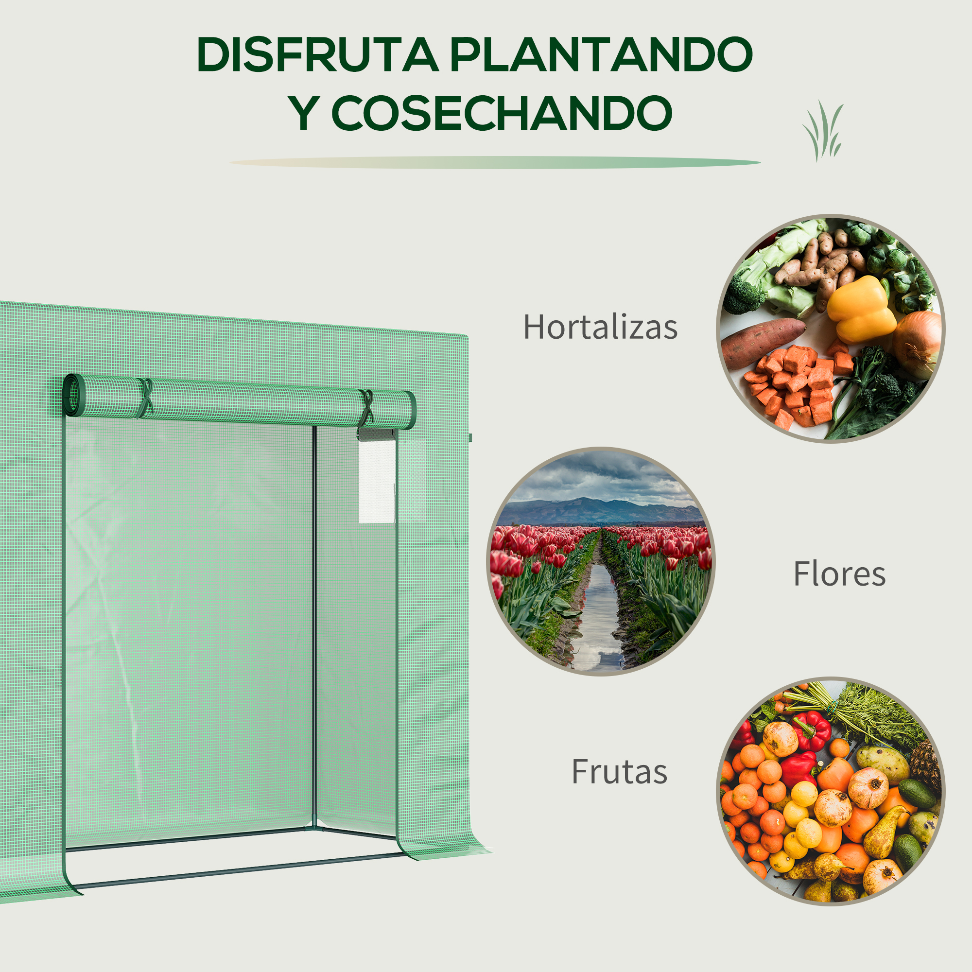 Invernadero verde con imágenes de verduras, flores y frutas.
