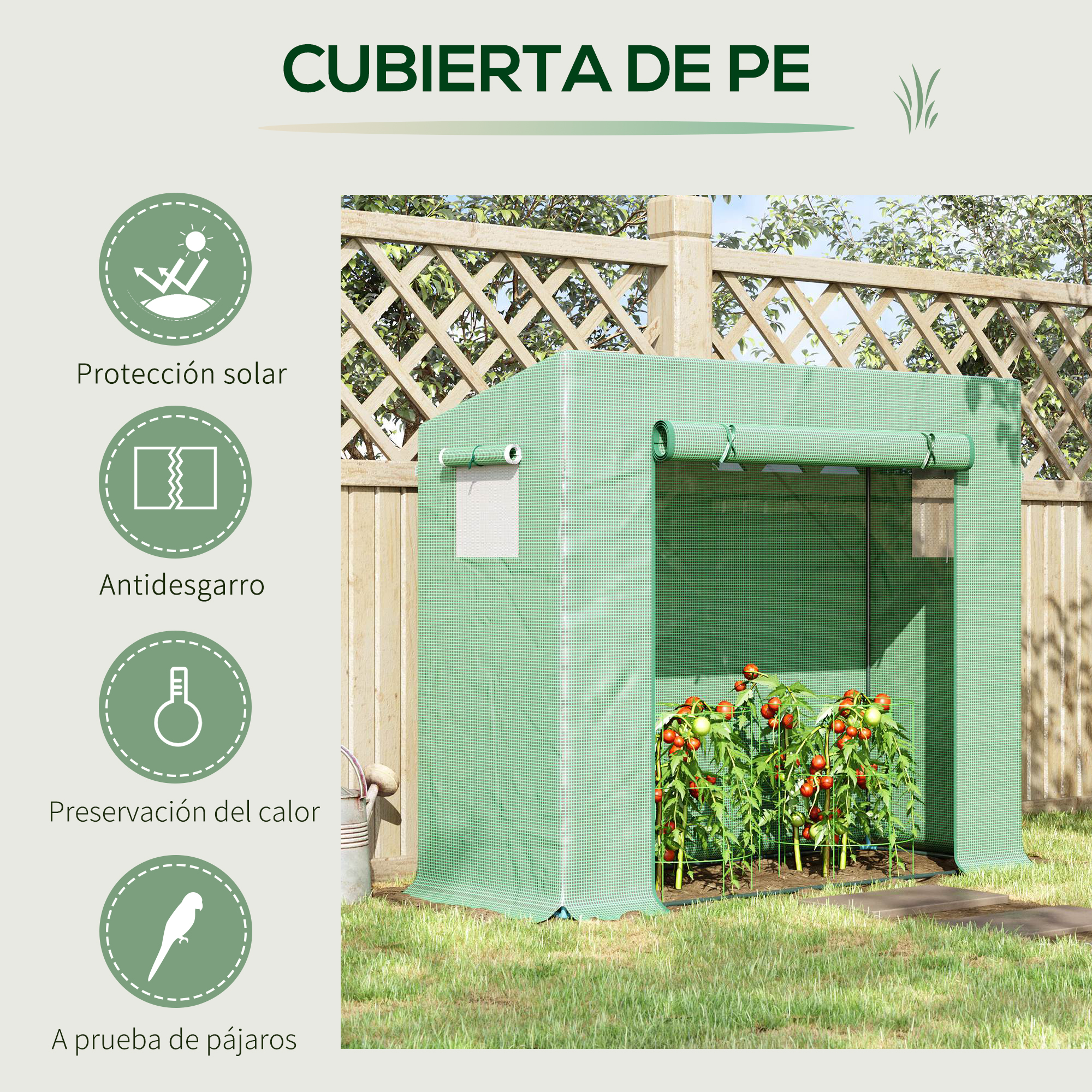 Un invernadero verde con plantas de tomate y una valla de madera.