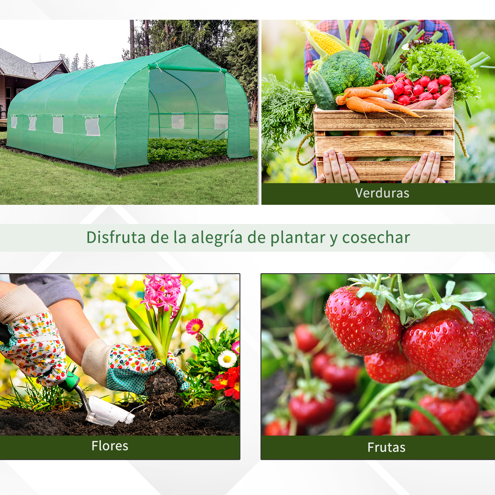 Un invernadero verde, una caja de verduras, plantando flores y fresas.