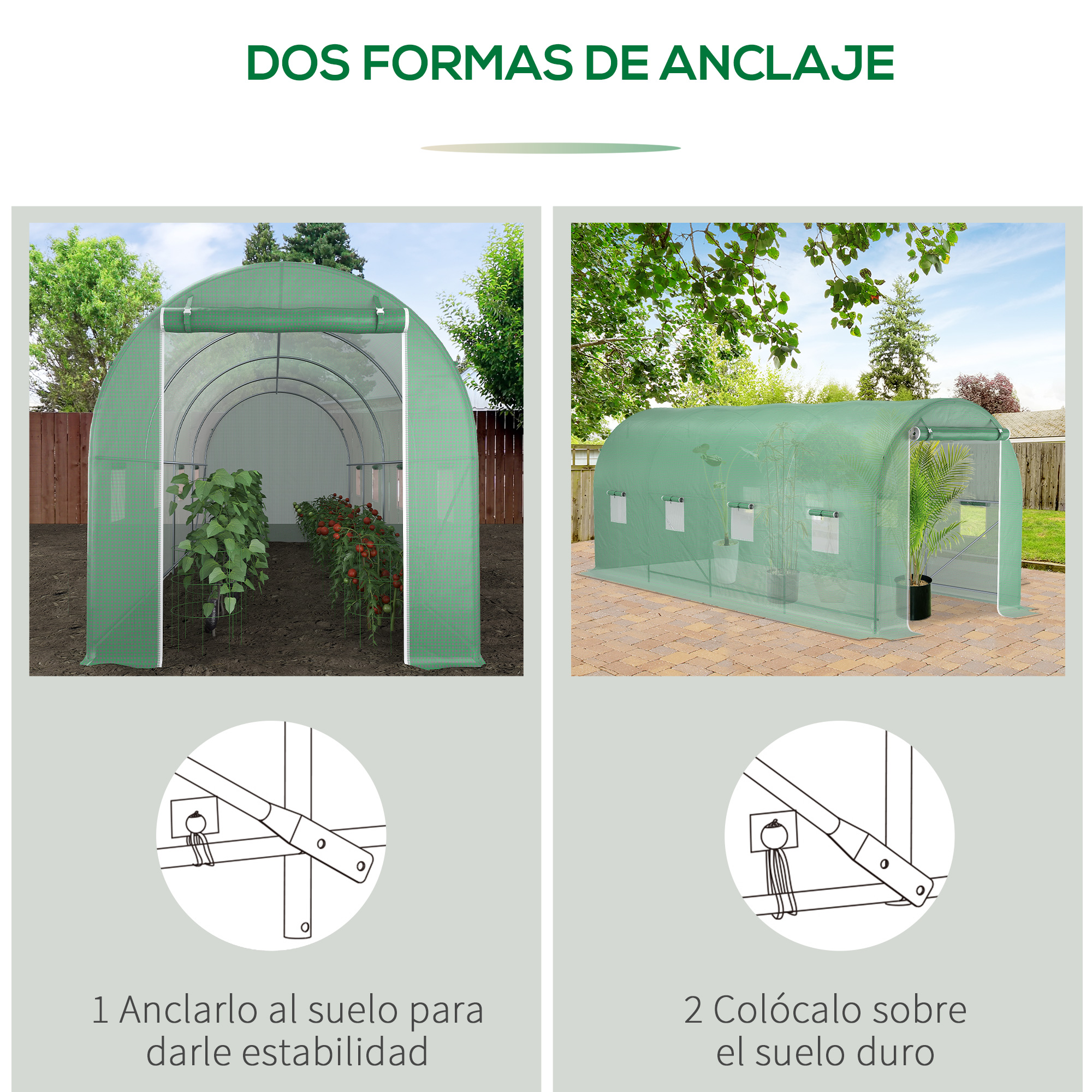 Dos invernaderos verdes, uno en tierra con plantas, otro en suelo duro.
