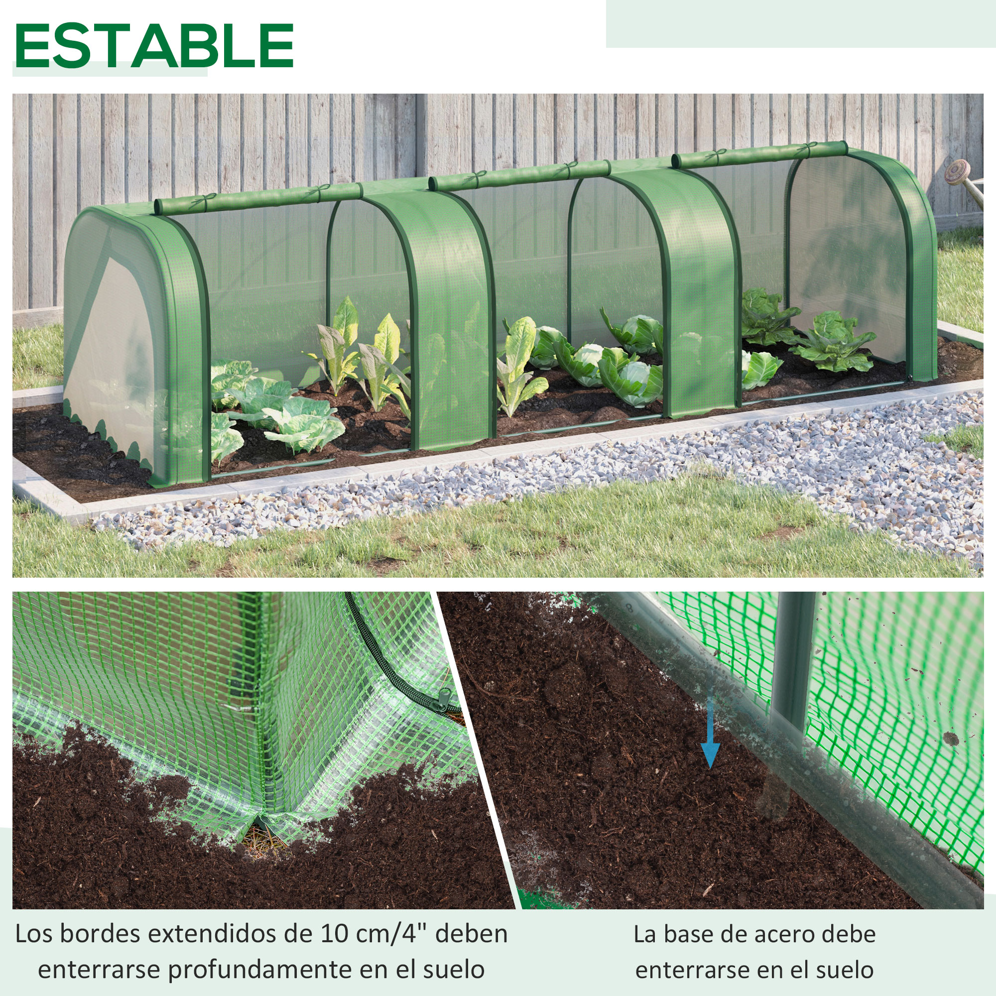 Un invernadero verde con plantas y primeros planos detallados del suelo.