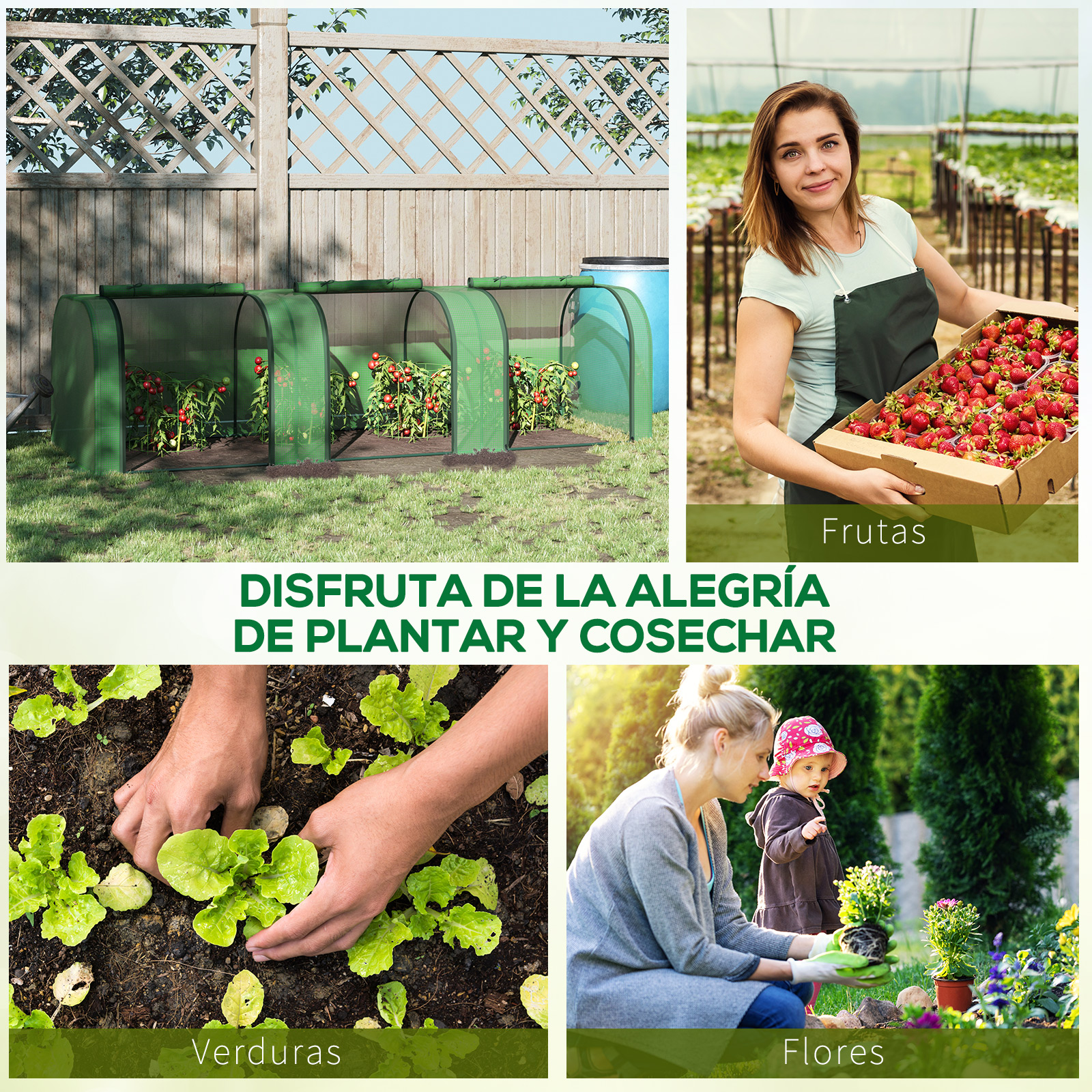 Cuatro escenas de jardín: tomates bajo cubiertas, mujer con fresas, manos plantando lechuga, mujer con niño junto a flores.