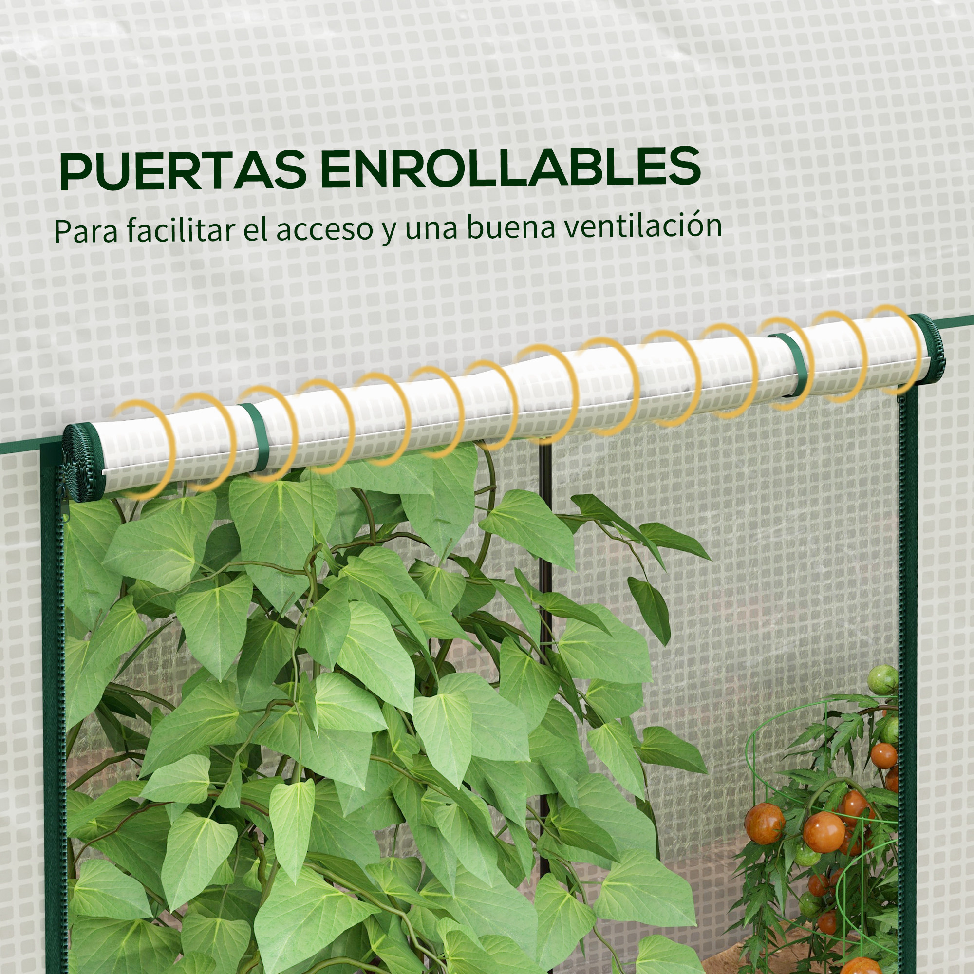 Follaje verde y tomates en un invernadero con puerta enrollable.