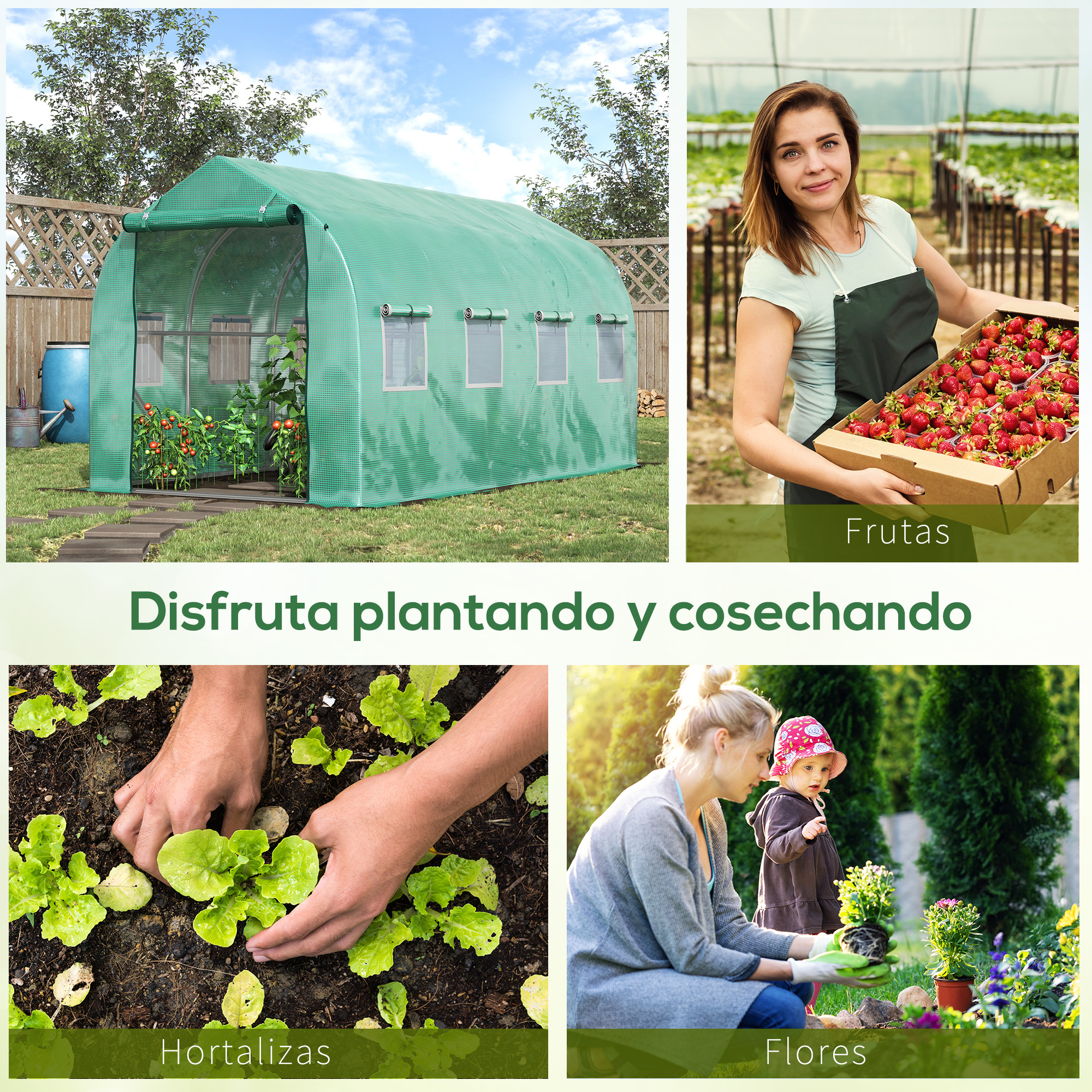 Cuatro escenas: invernadero, bayas, jardinero y flores.