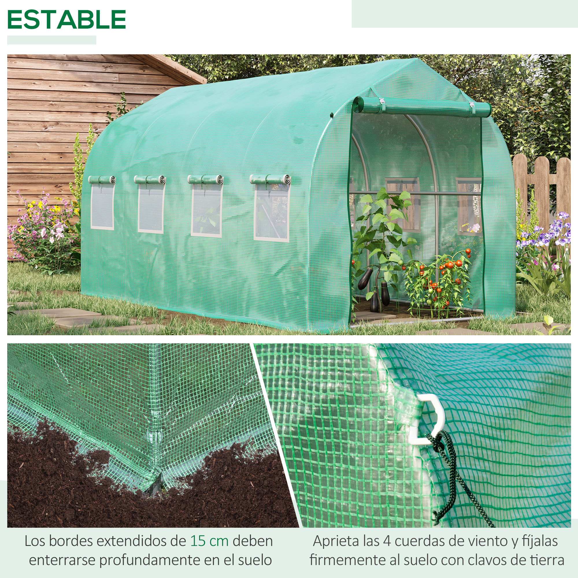Un invernadero verde con ventanas, plantas dentro y fuera.