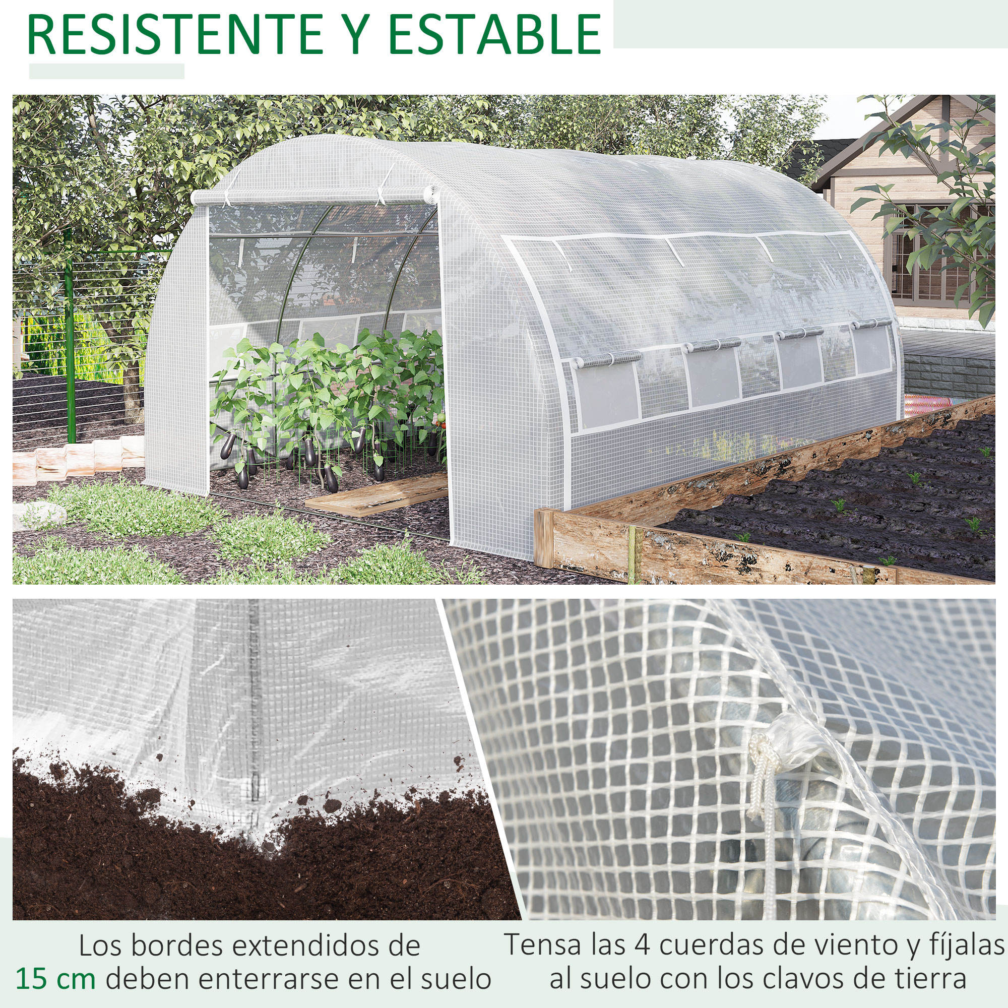 Un invernadero con plantas y el texto 'RESISTENTE Y ESTABLE'.