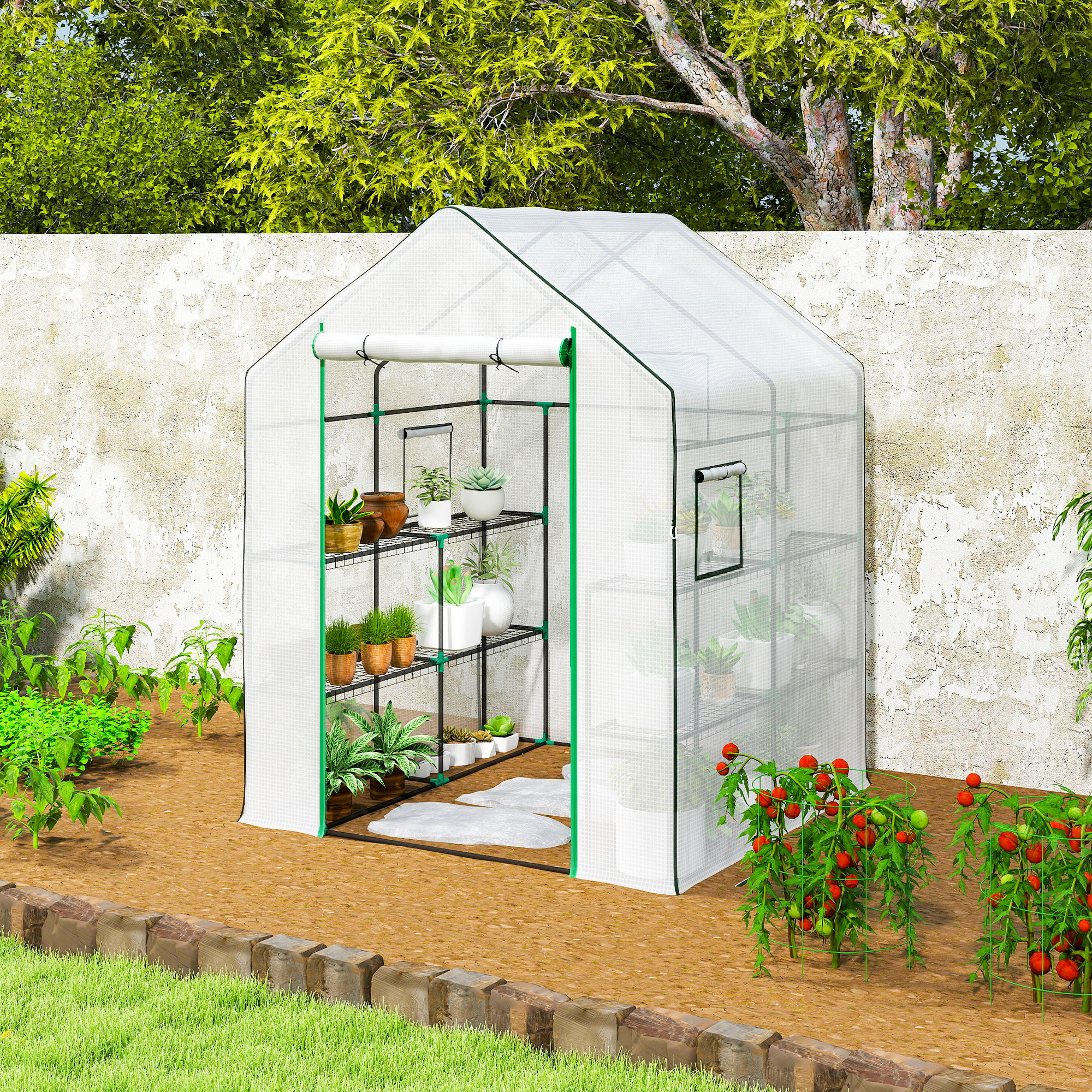 Un invernadero con plantas y tomateras en el exterior.