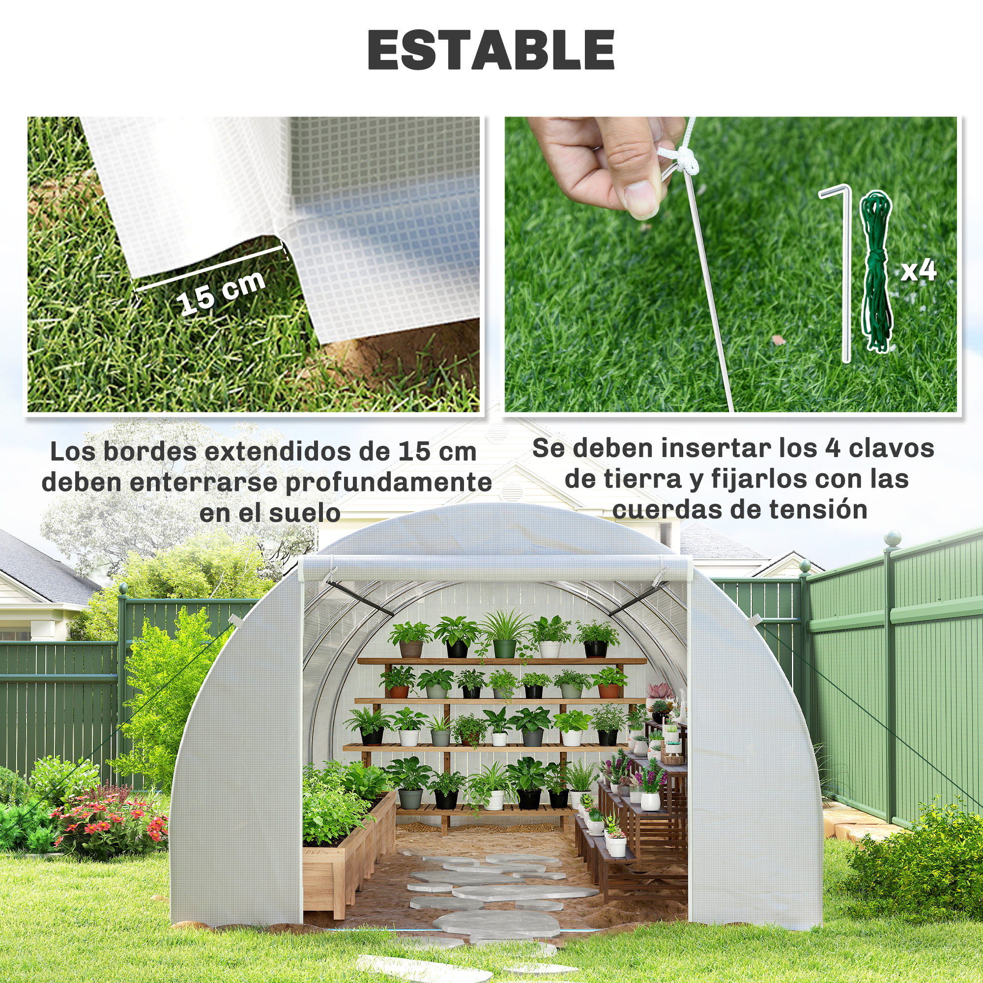 Un invernadero lleno de plantas en estantes. Se asegura con 4 estacas y cuerdas.
