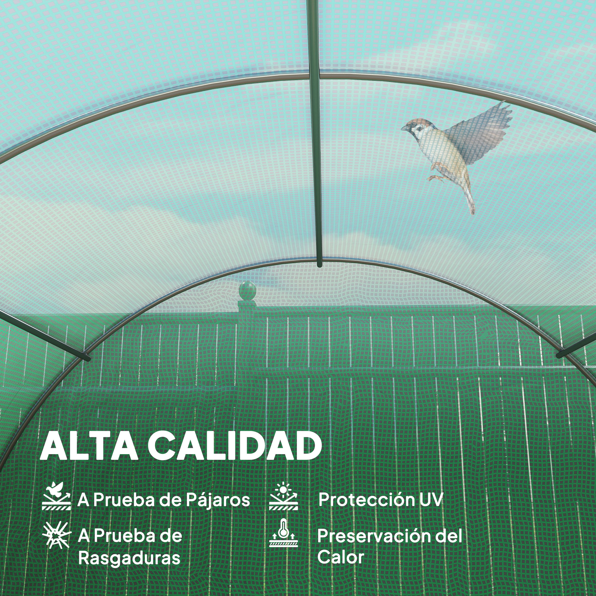 Un gorrión vuela bajo una red protectora. Alta calidad, a prueba de pájaros.